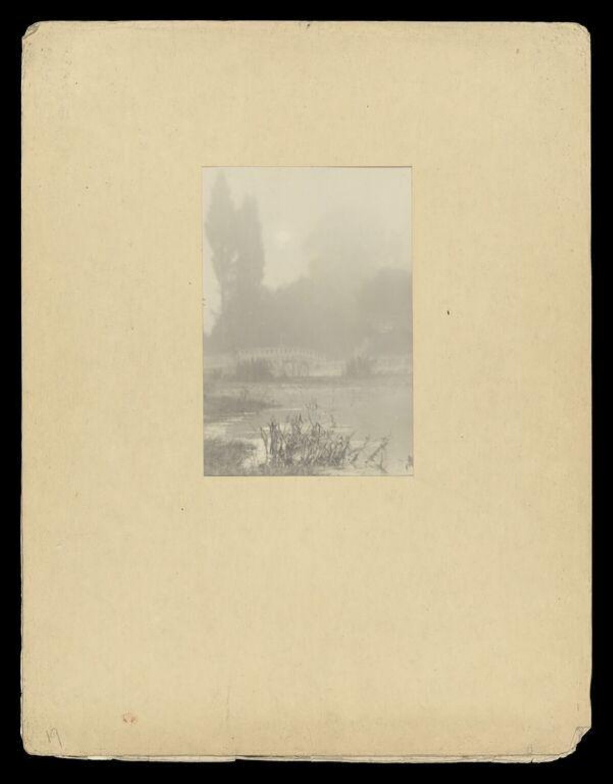 Foggy Riverside Landscape