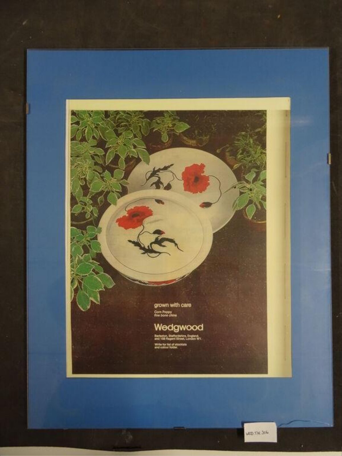 Framed Wedgwood Corn Poppy Ad