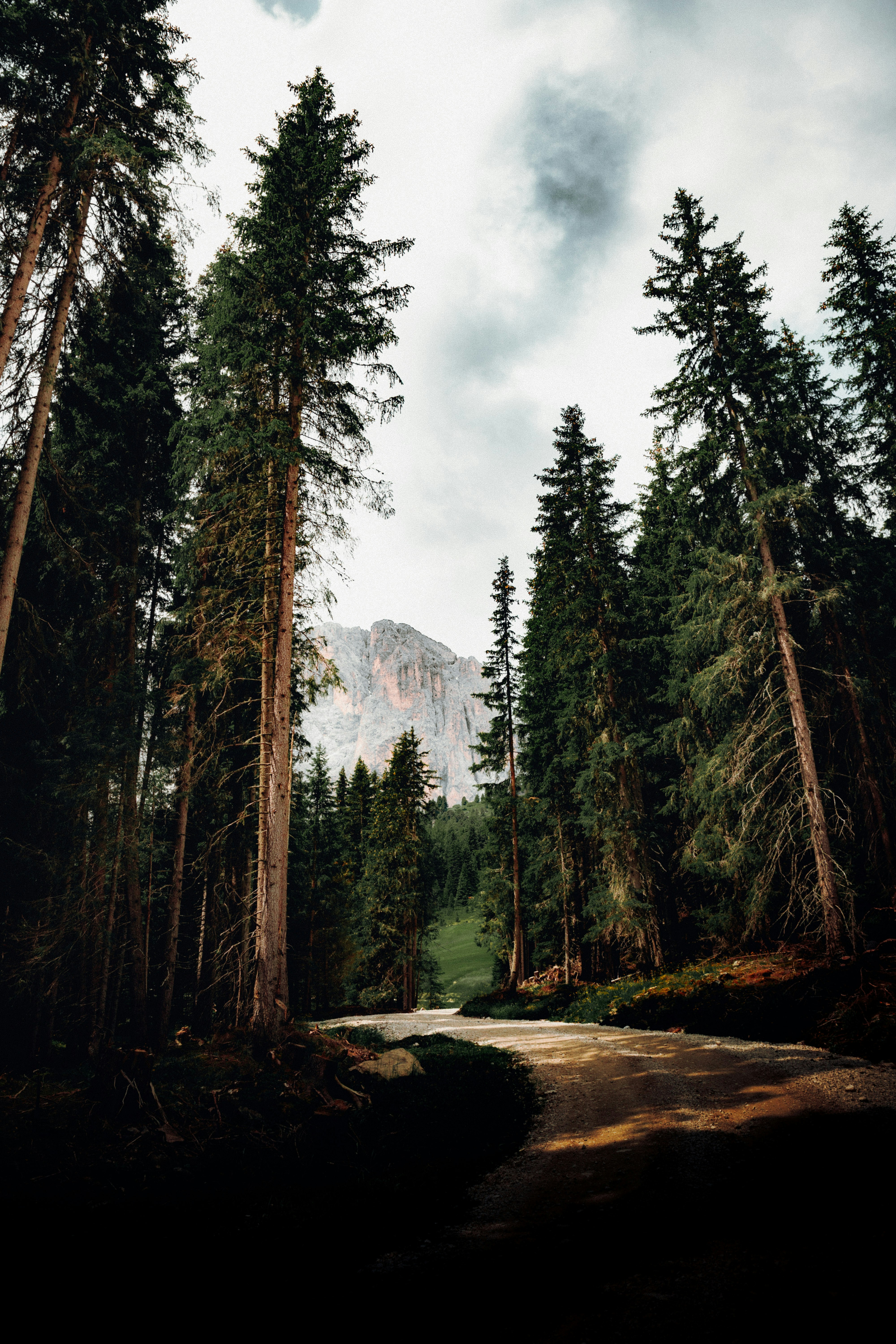 Forest Road Leading to Rocky Peak