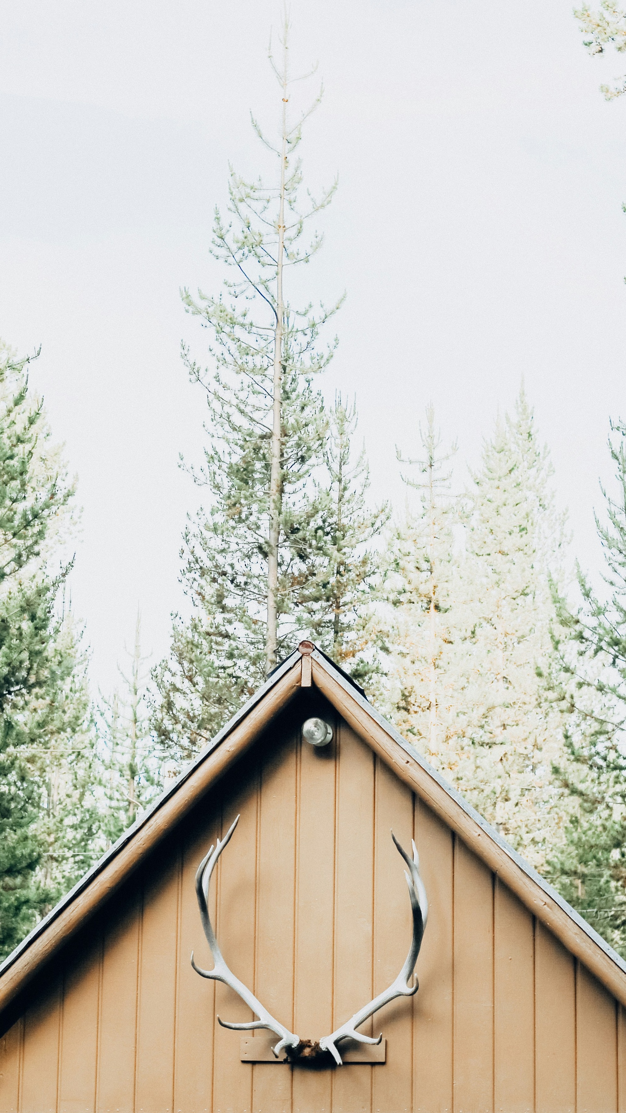 Wallpapers