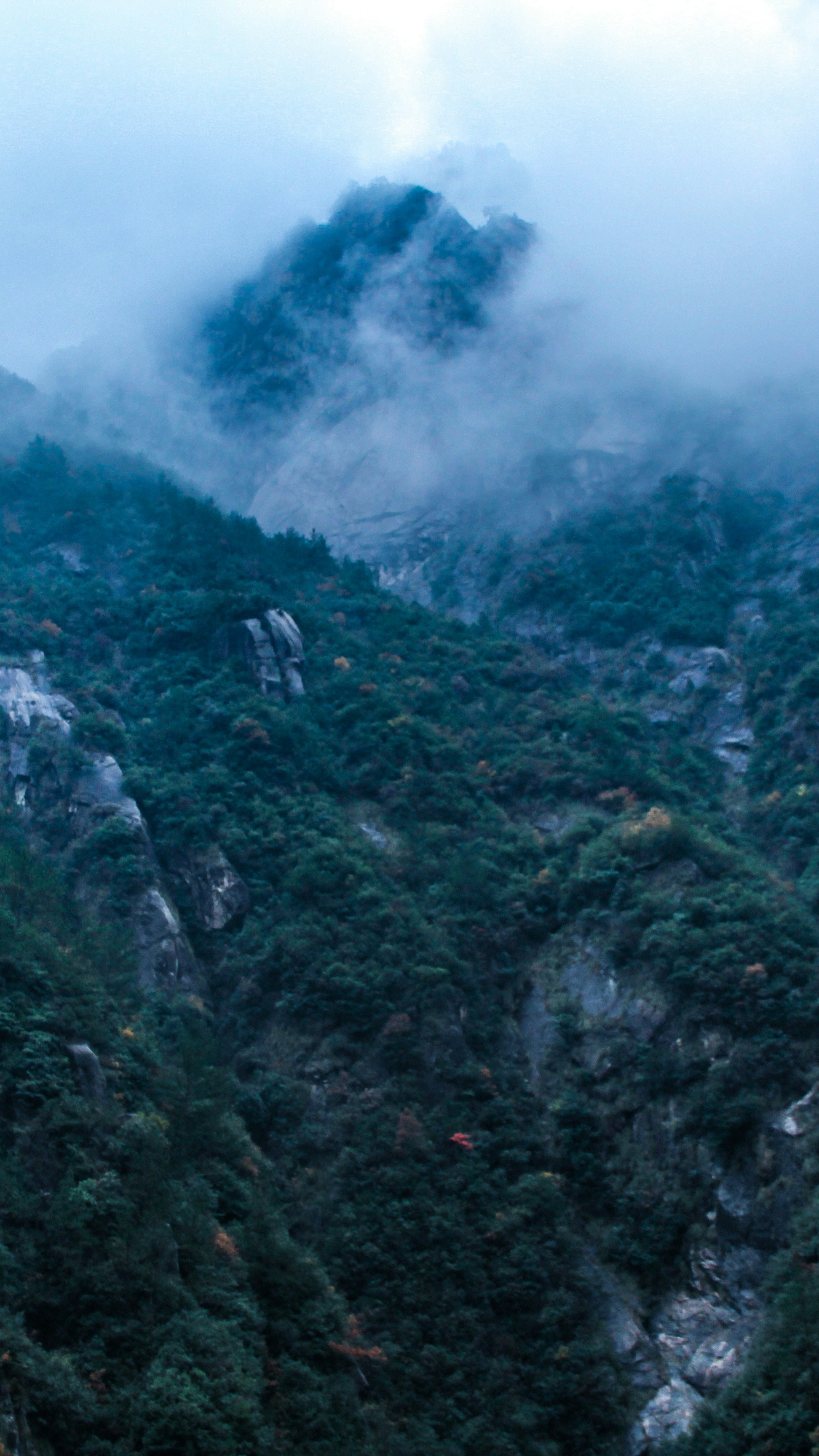Landscapes