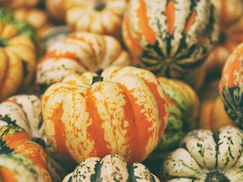 Assorted Decorative Gourds