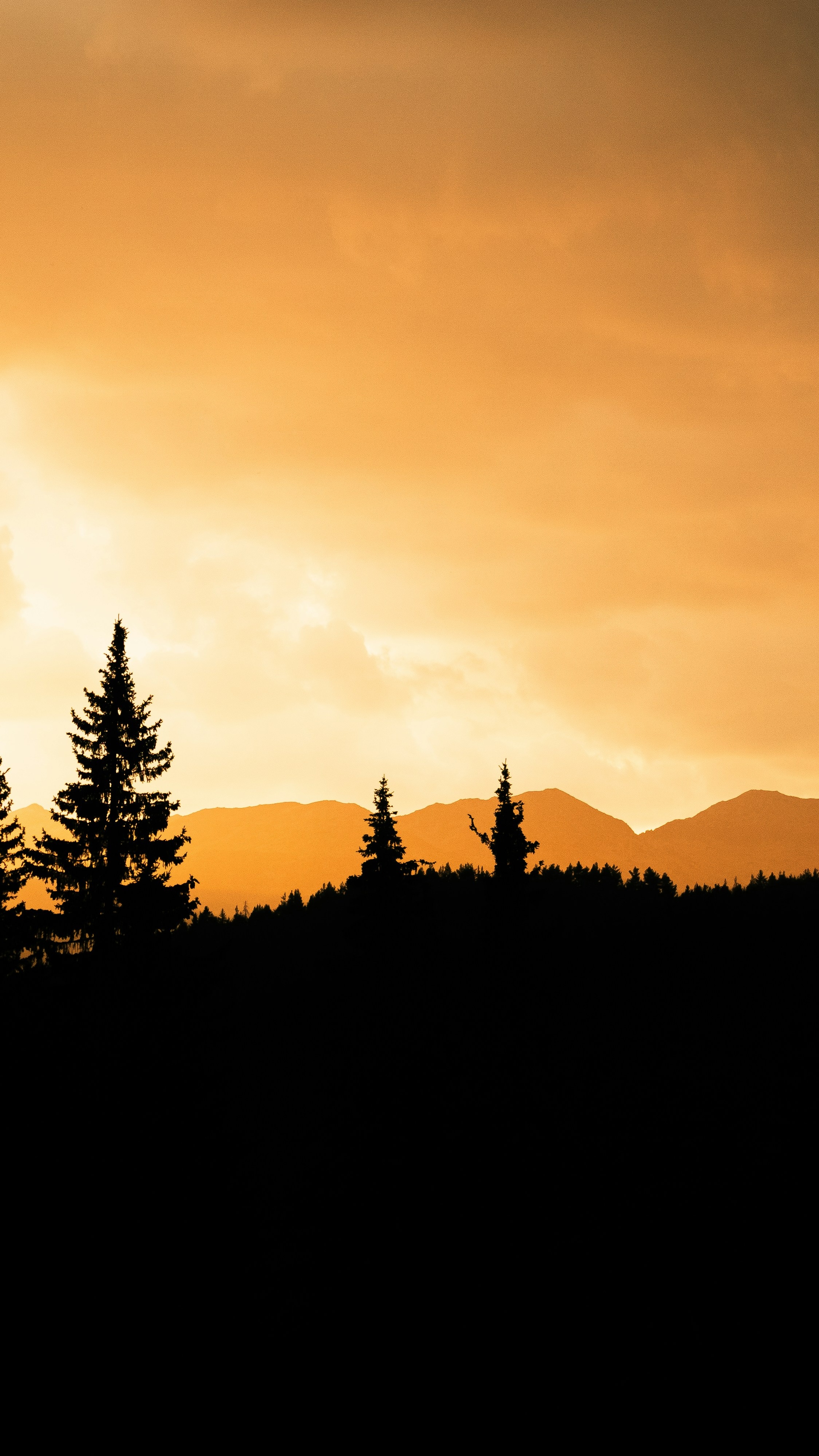 Sunset Over Silhouetted Forest and Mountains