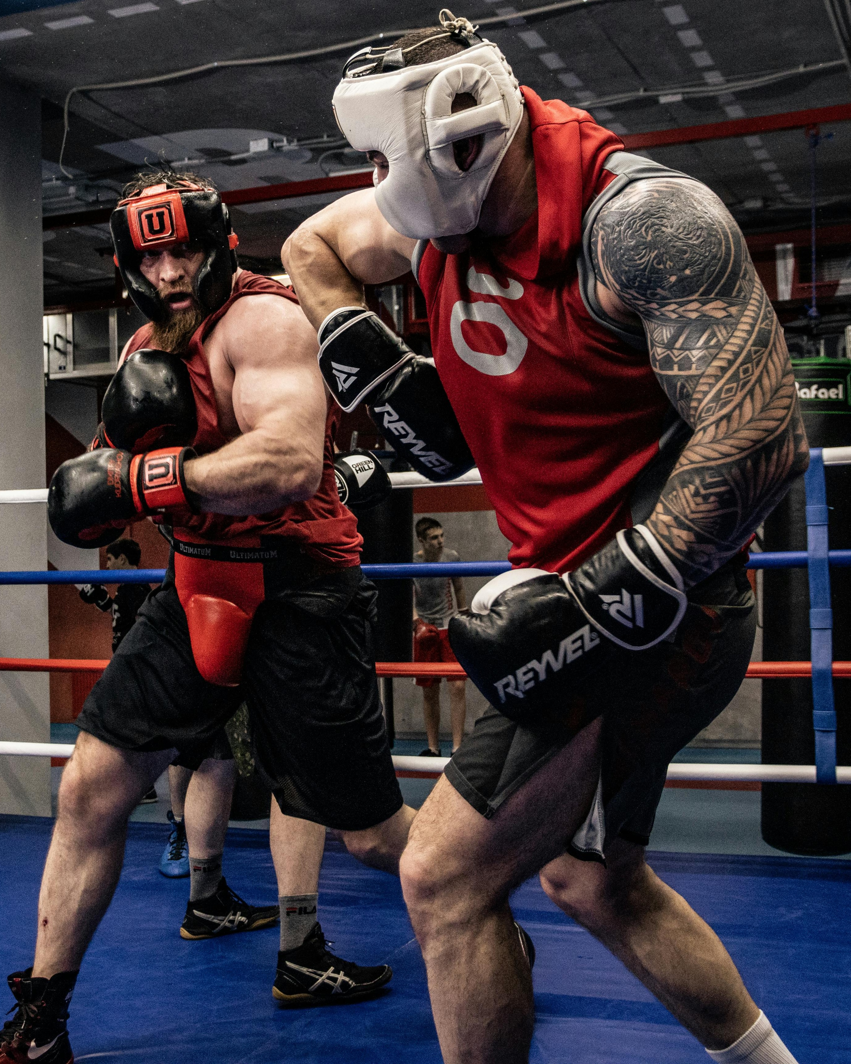 Two Boxers Sparring In Boxing Ring