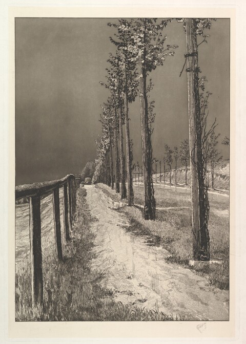 Tree-lined Rural Dirt Road Etching