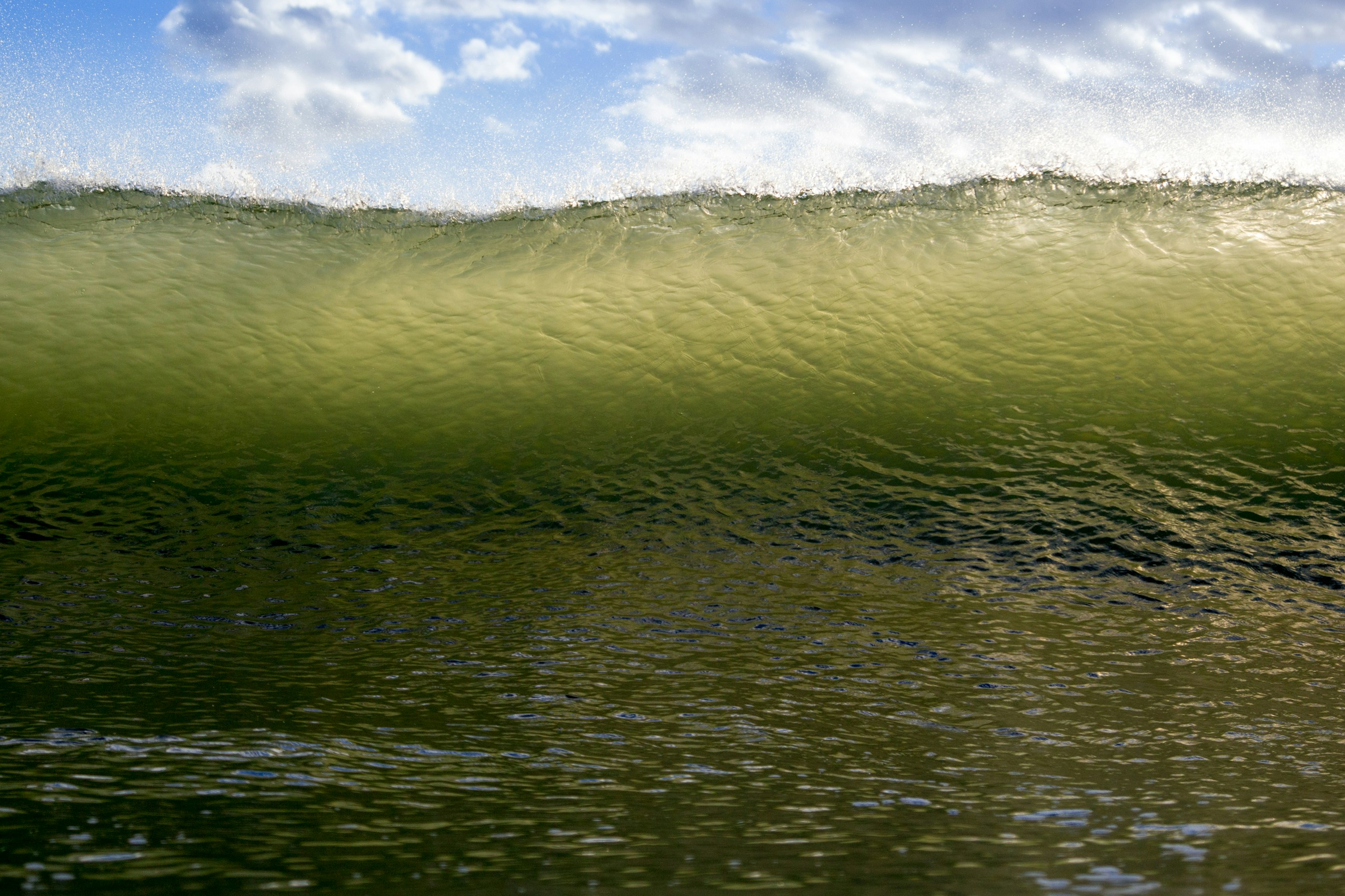 Large Breaking Ocean Wave