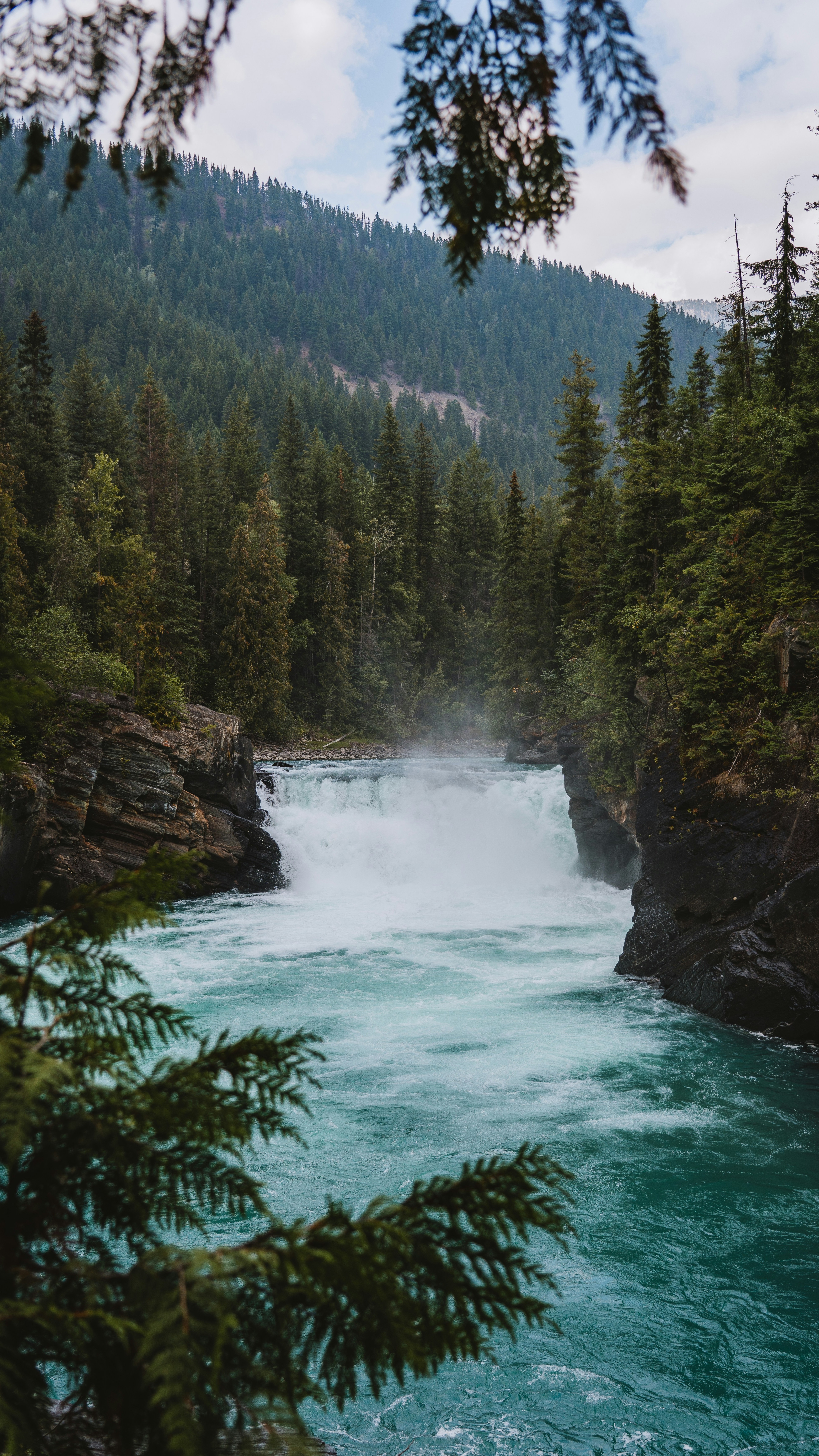 Wallpapers