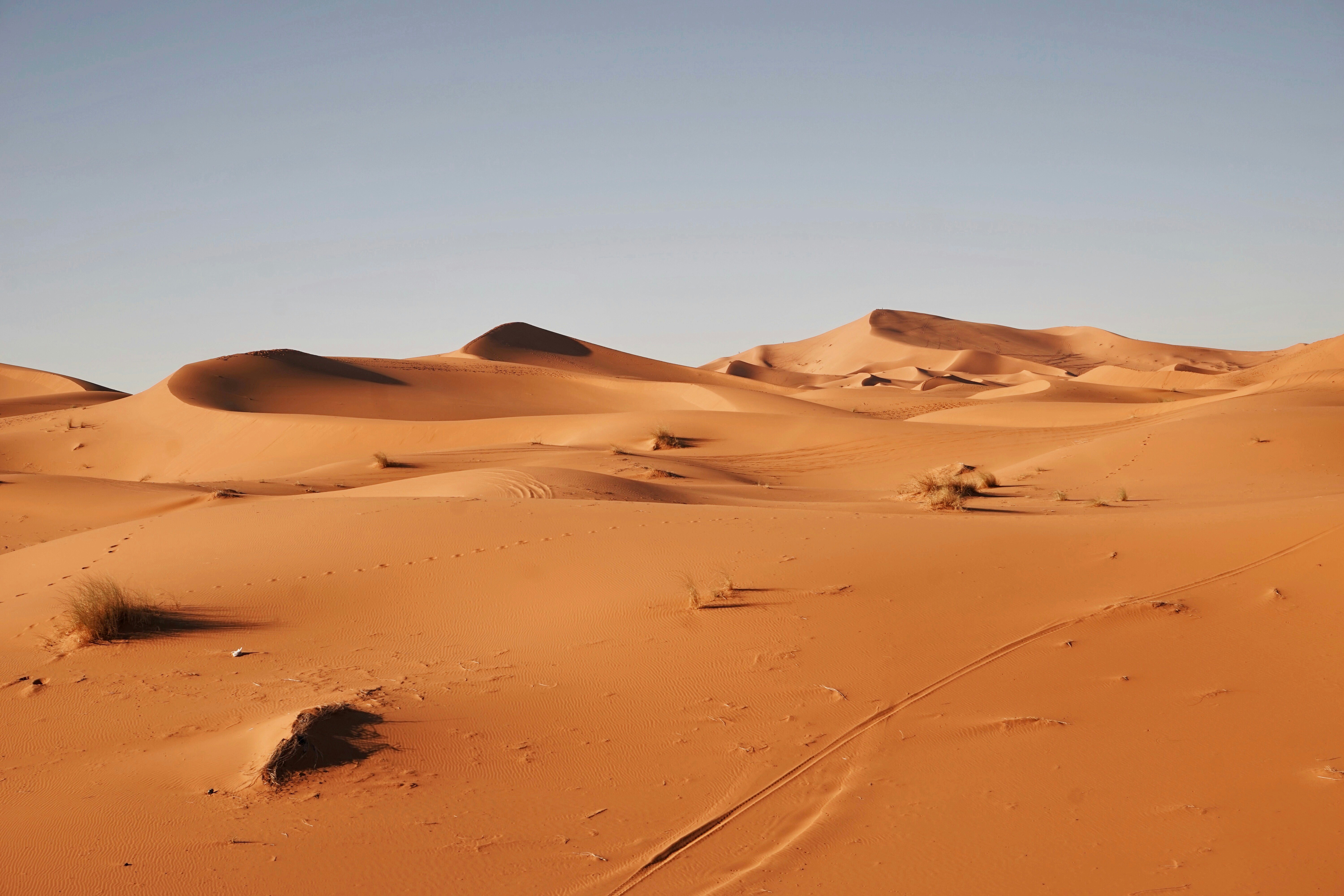 Desert Sand Dune Landscape