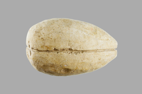 Ancient Grooved Stone Sling Bullet