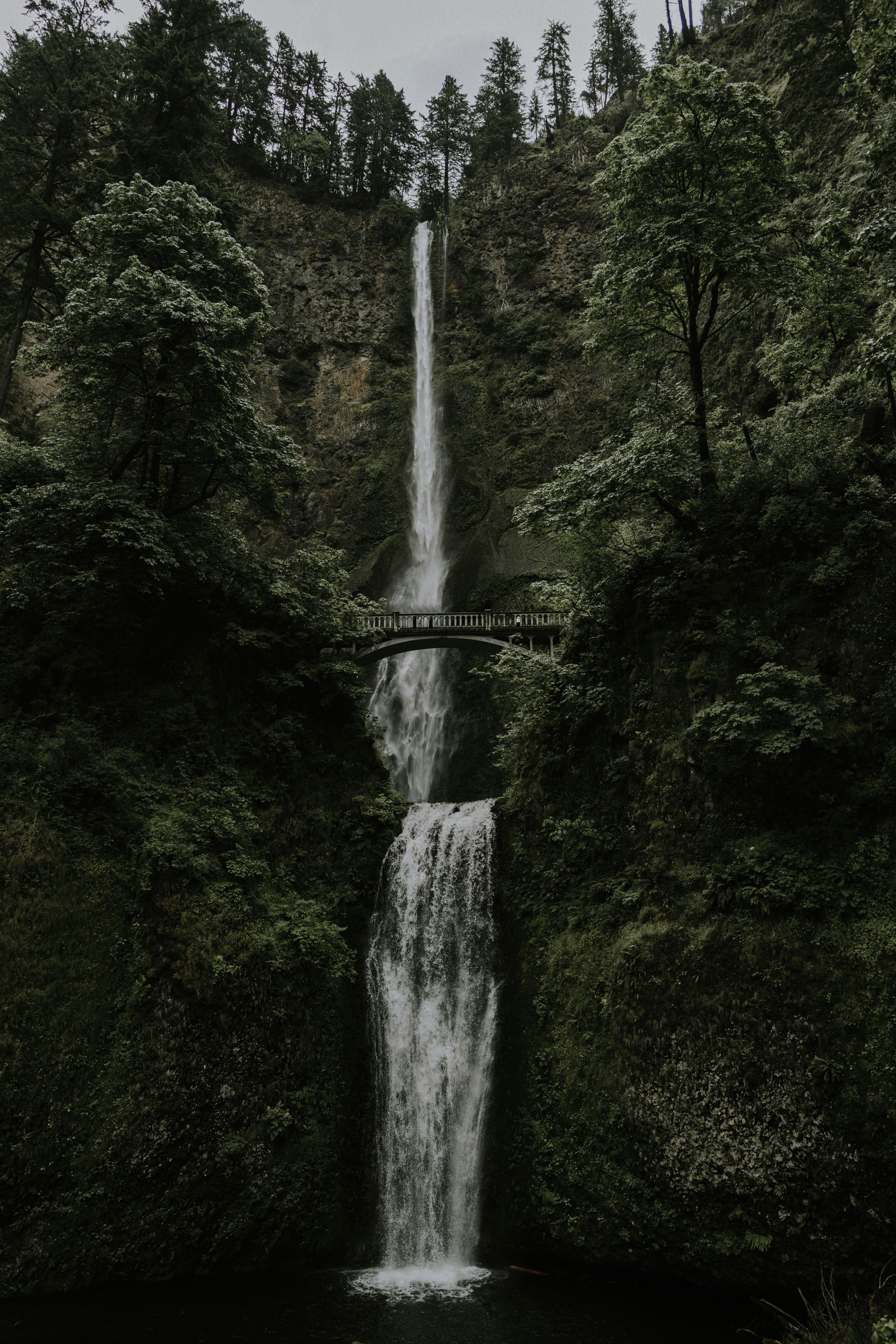 Multnomah Falls in Forest Canyon