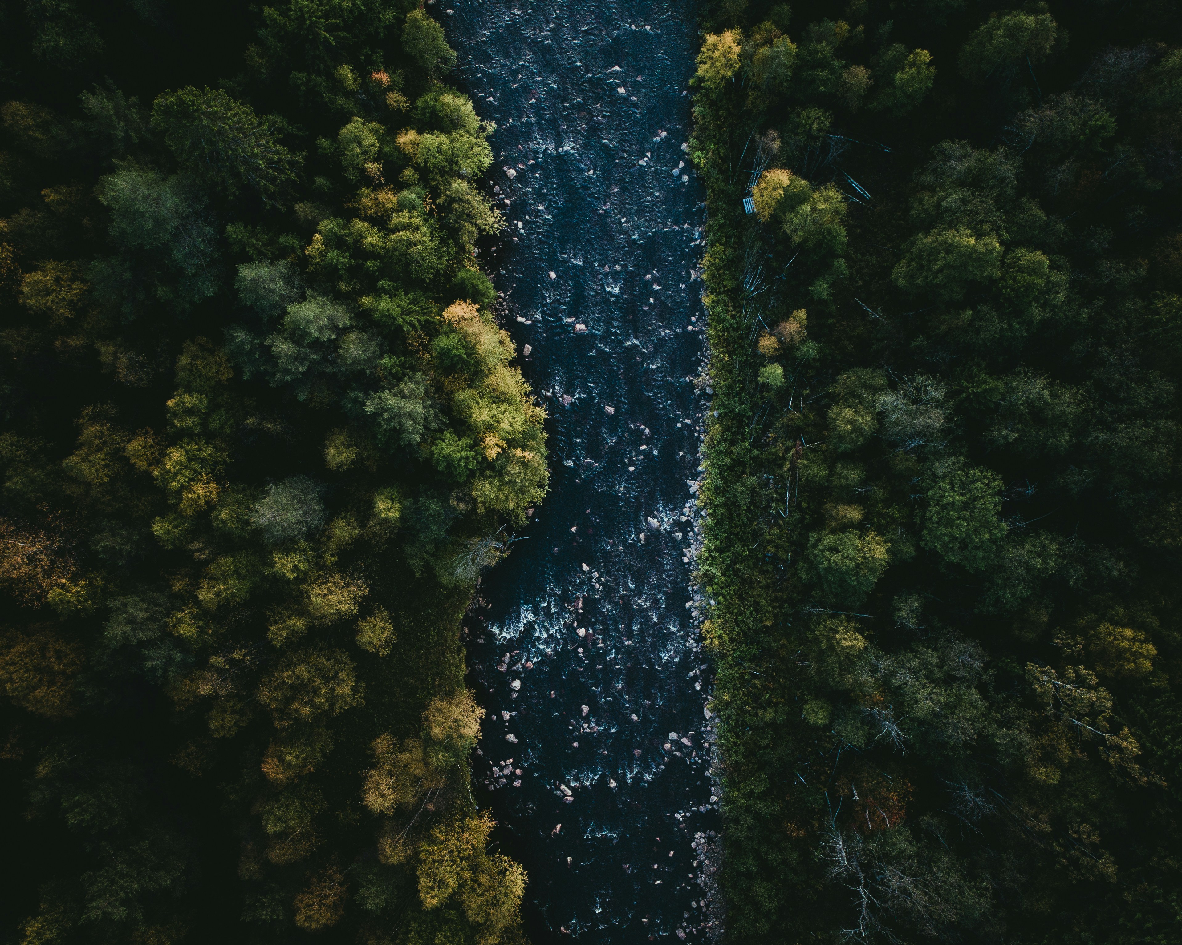 Aerial View of Forest River