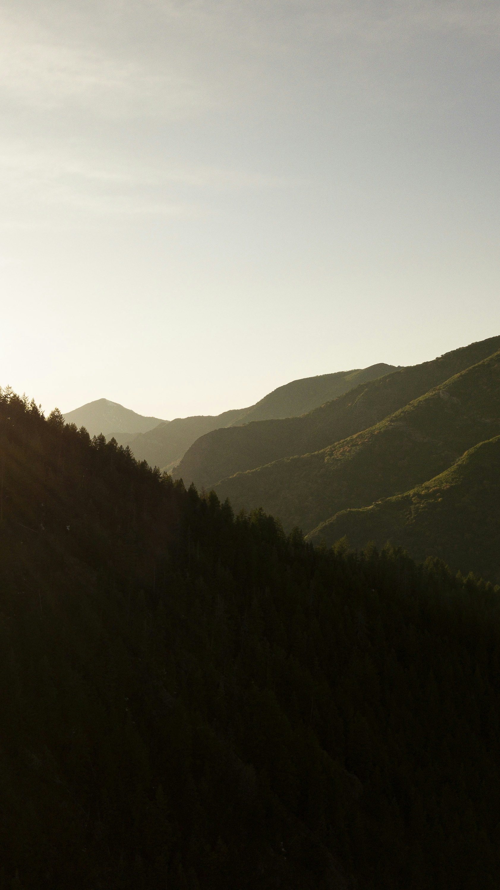 Landscapes