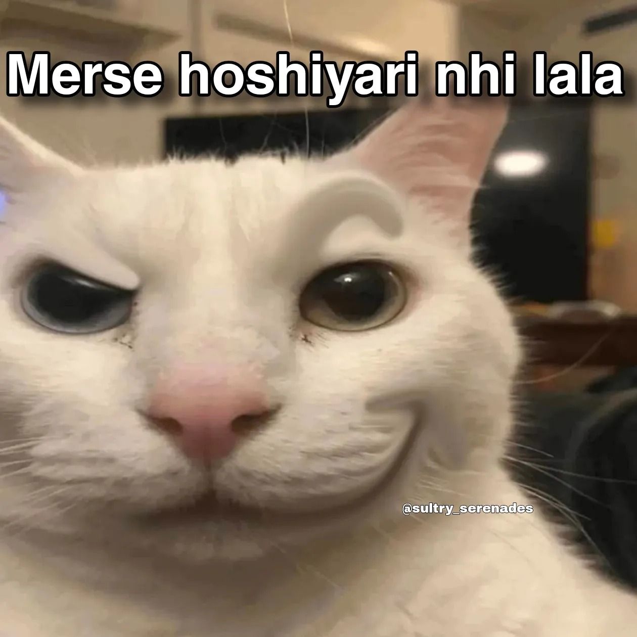 Smirking Edited Cat Meme
