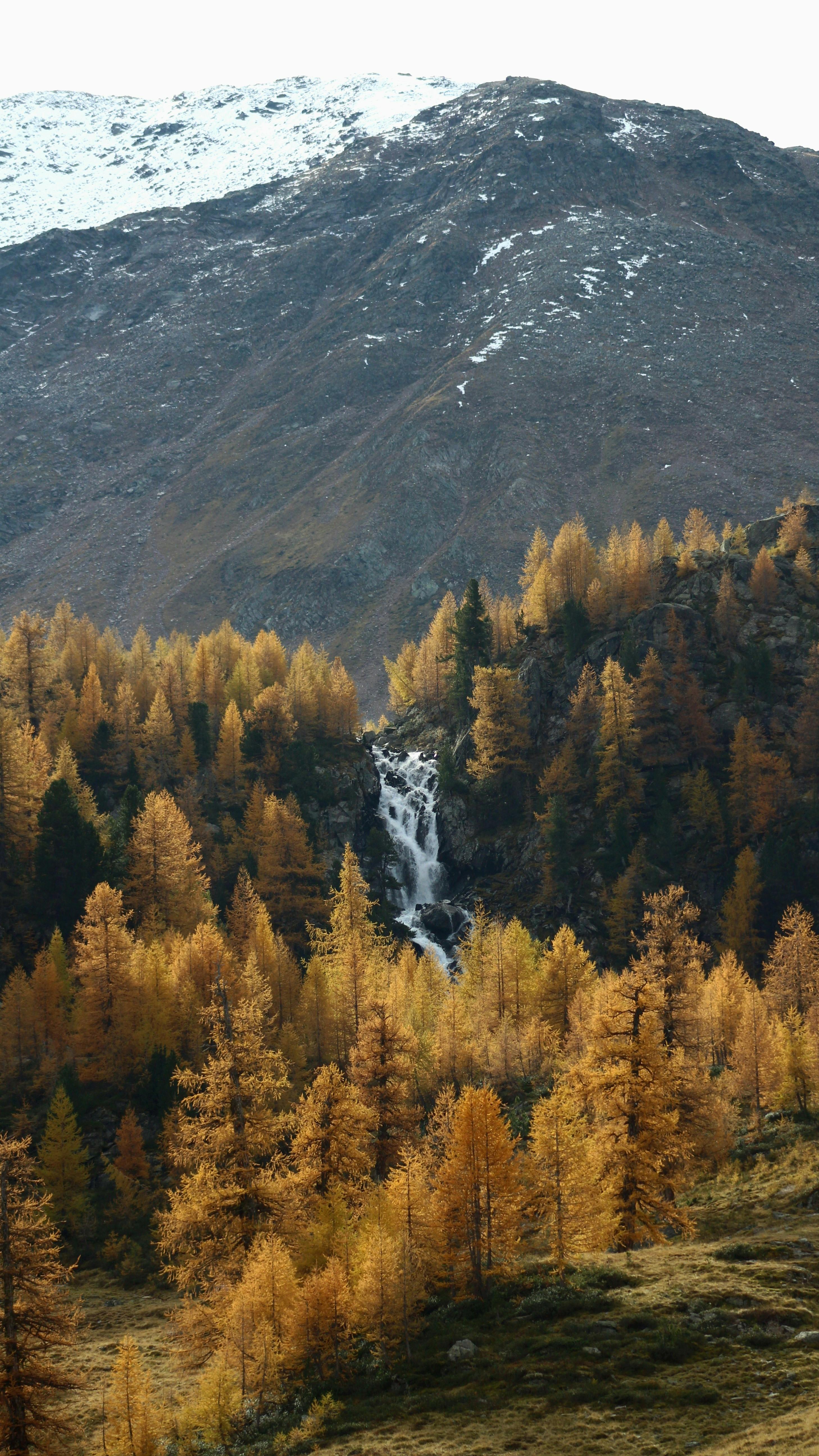 Image 1574937 — Nature