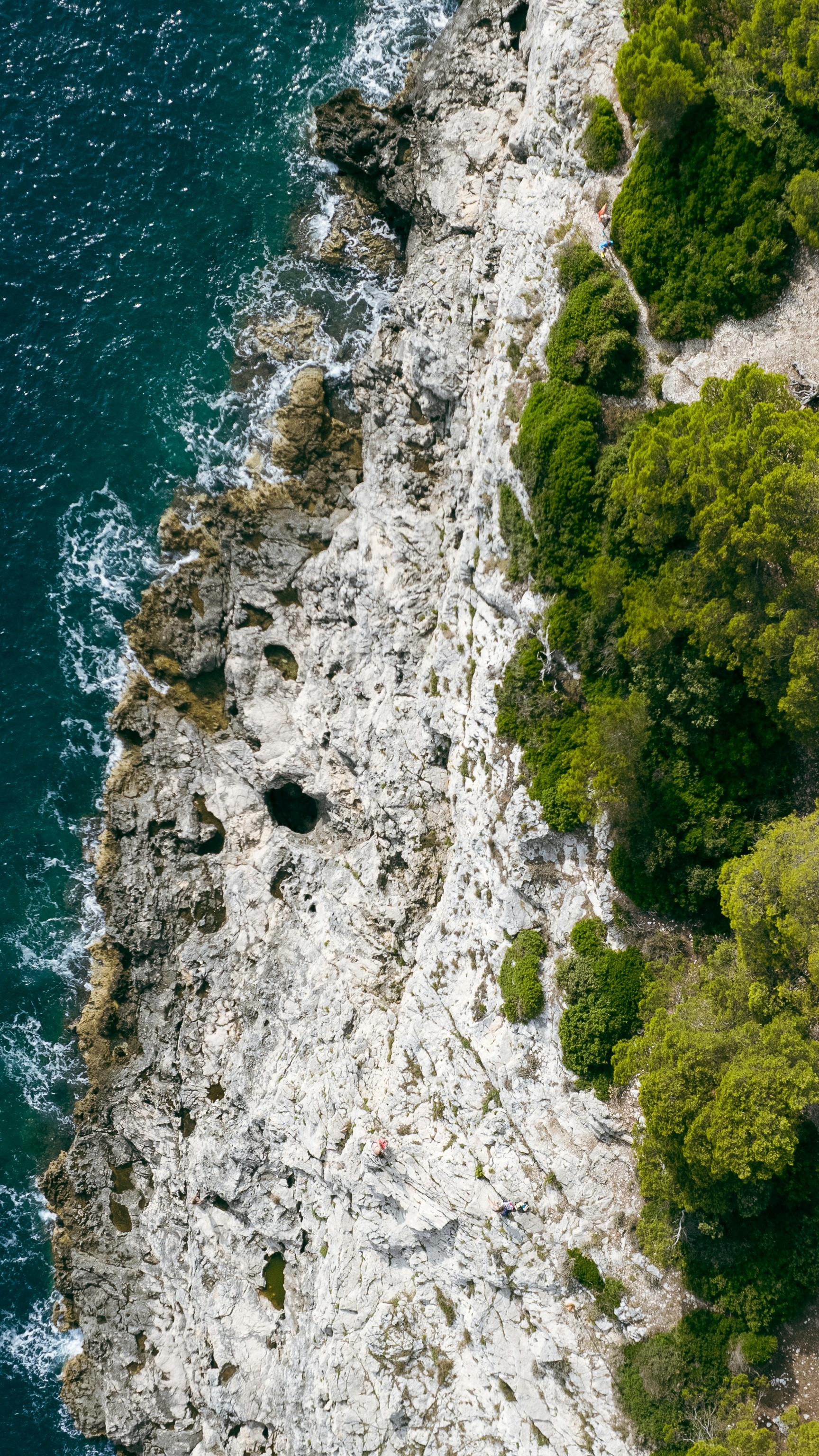Wallpapers