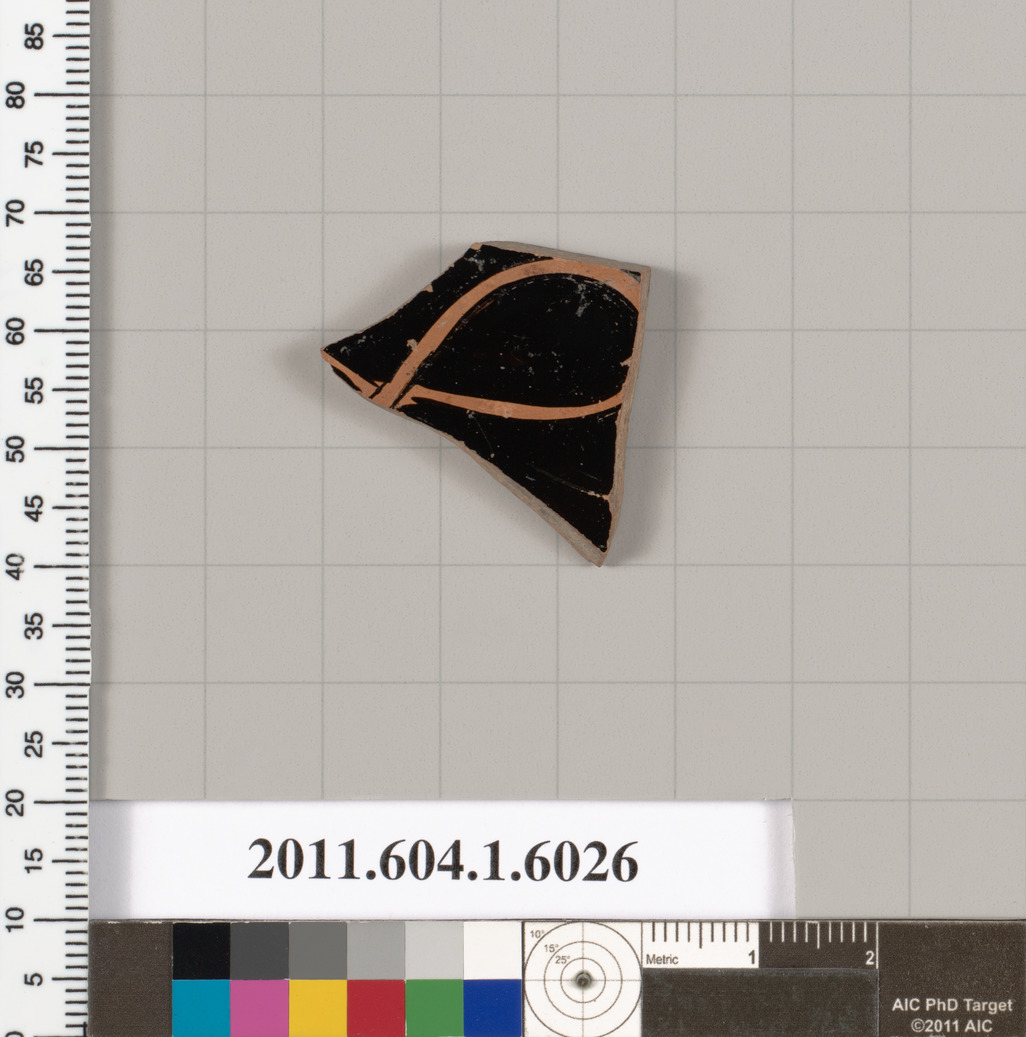 Ancient Pottery Shard Artifact