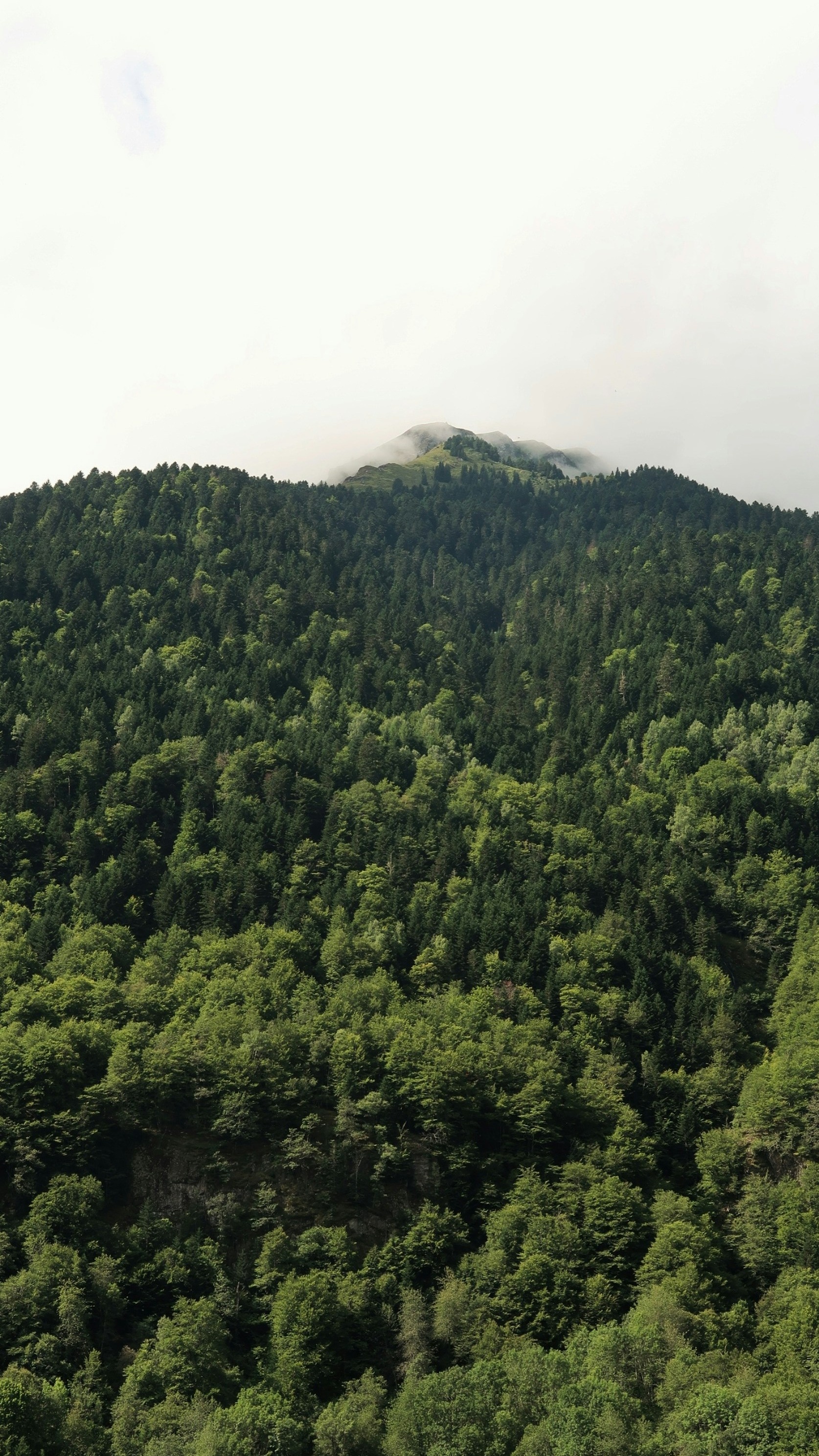 Landscapes