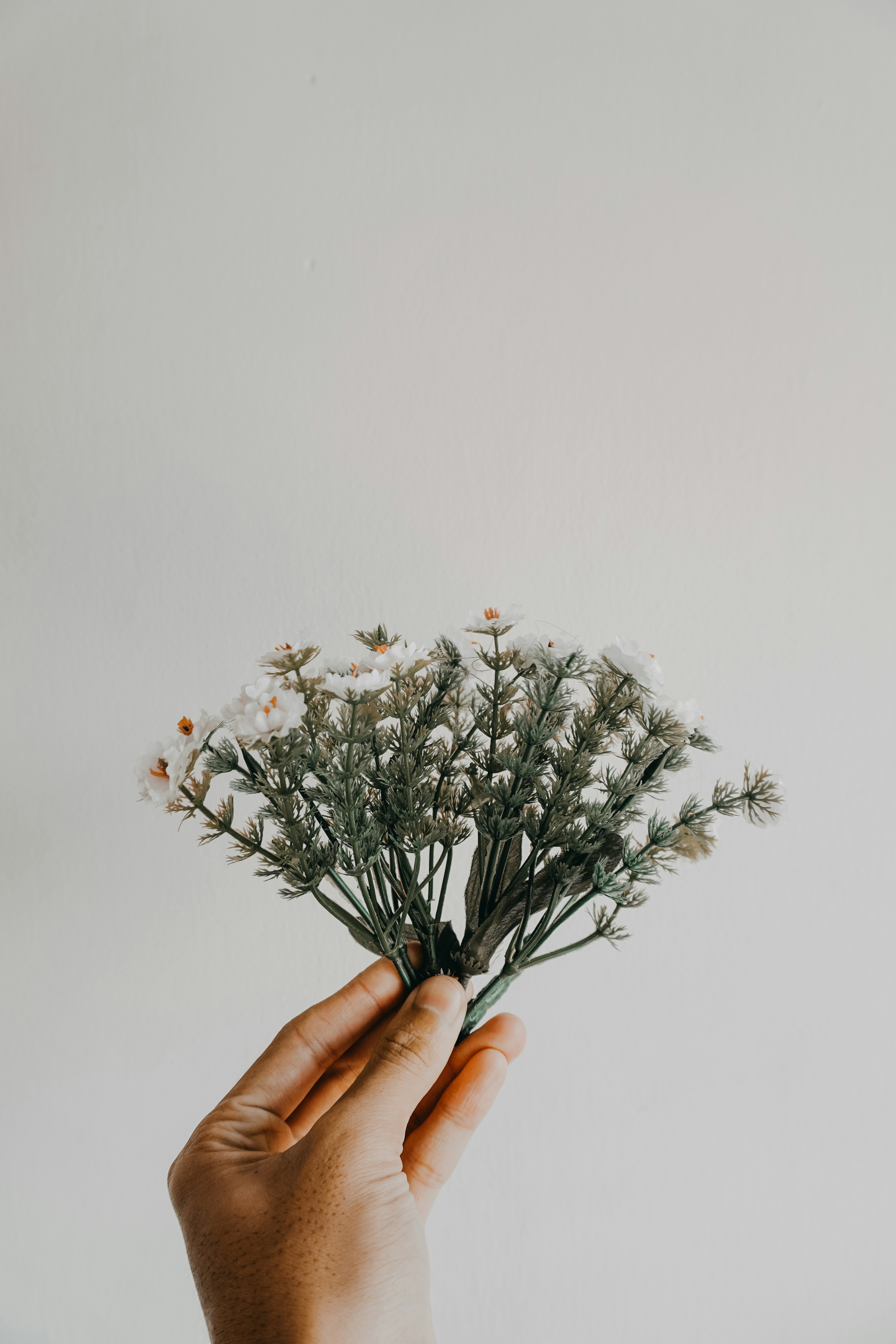 Hand Holding Small Flower Bouquet