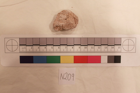 Labeled Rock Specimen N209