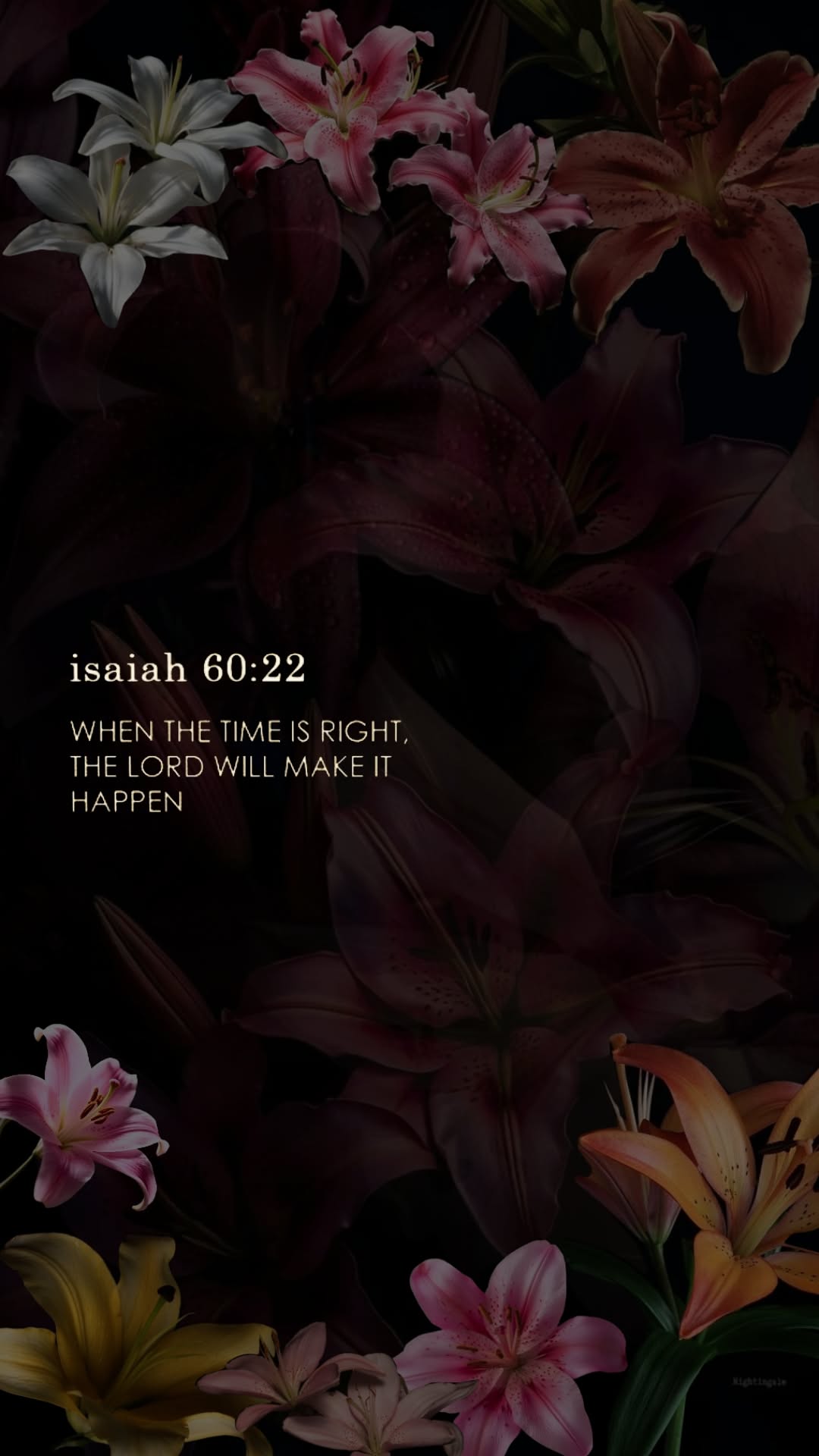 Wallpapers