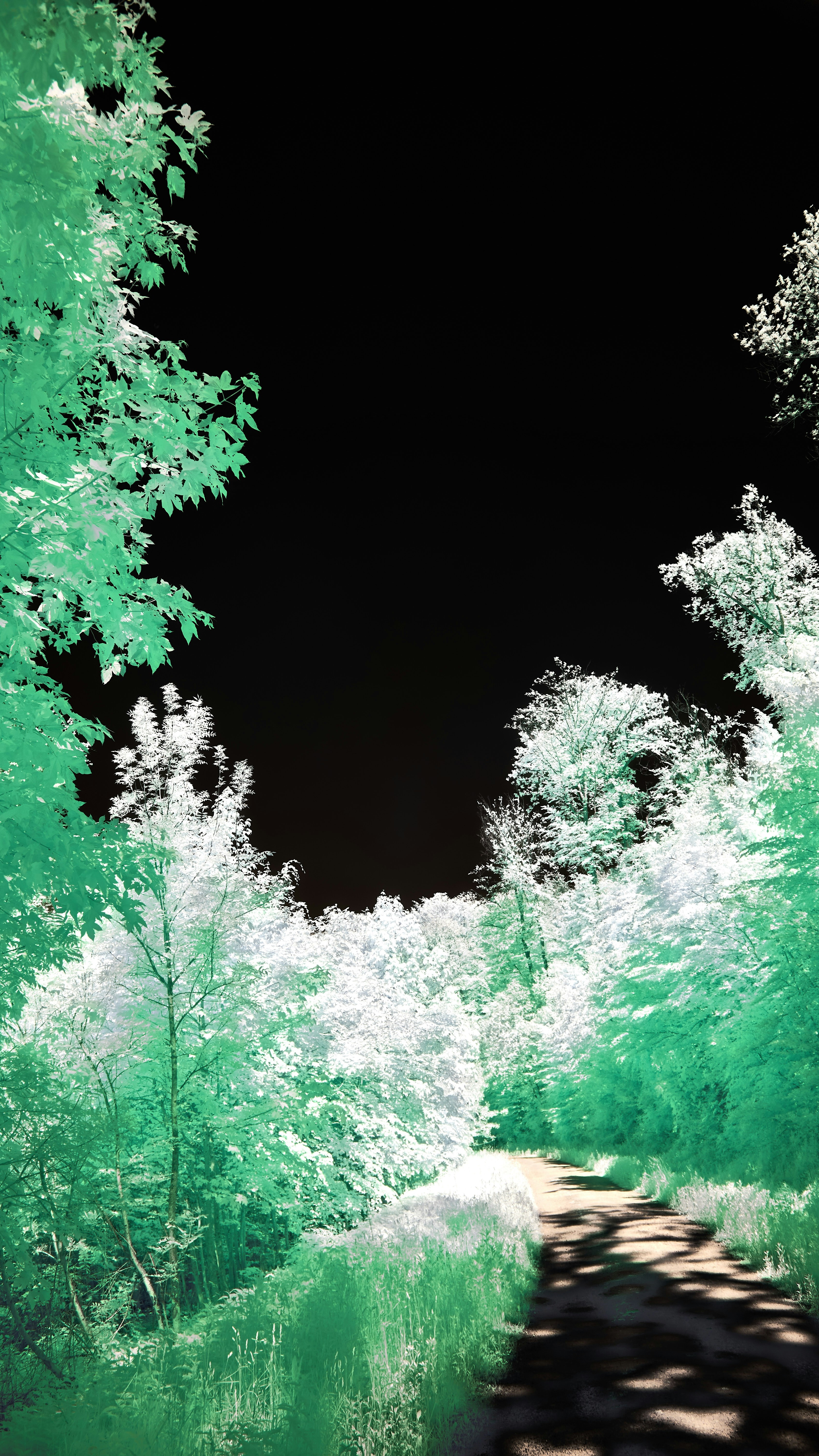 Wallpapers