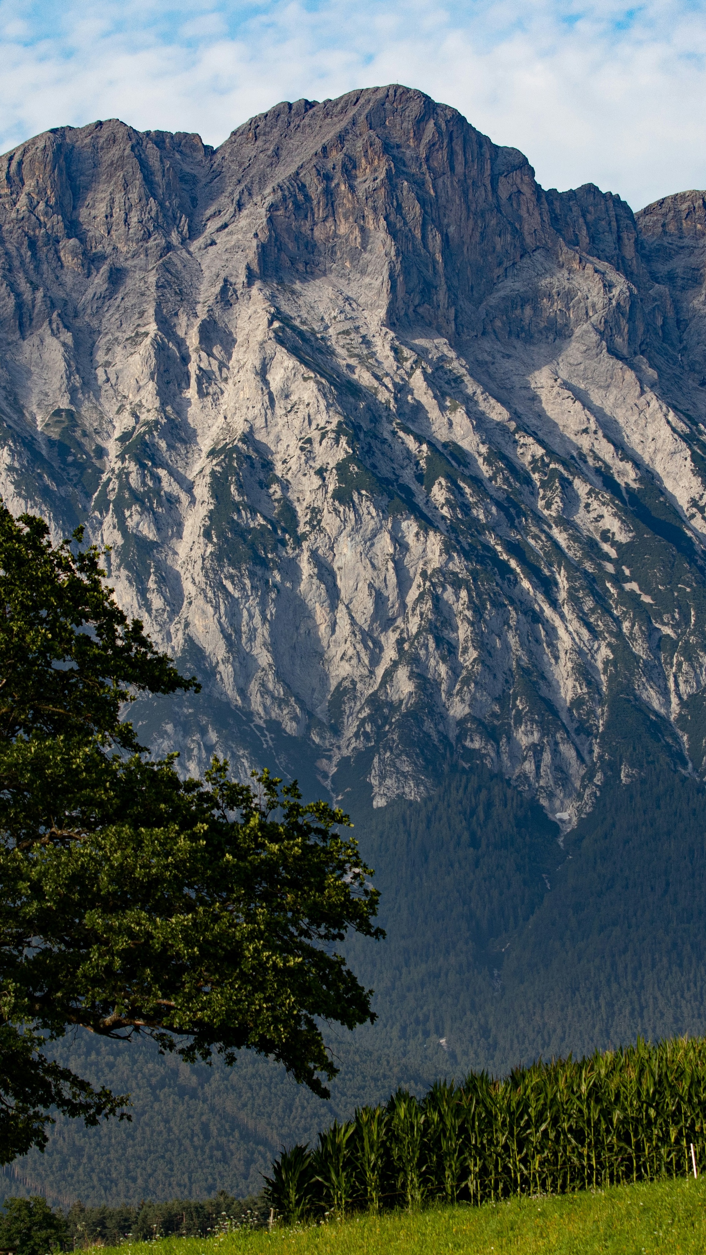 Massive Rocky Mountain Landscape
