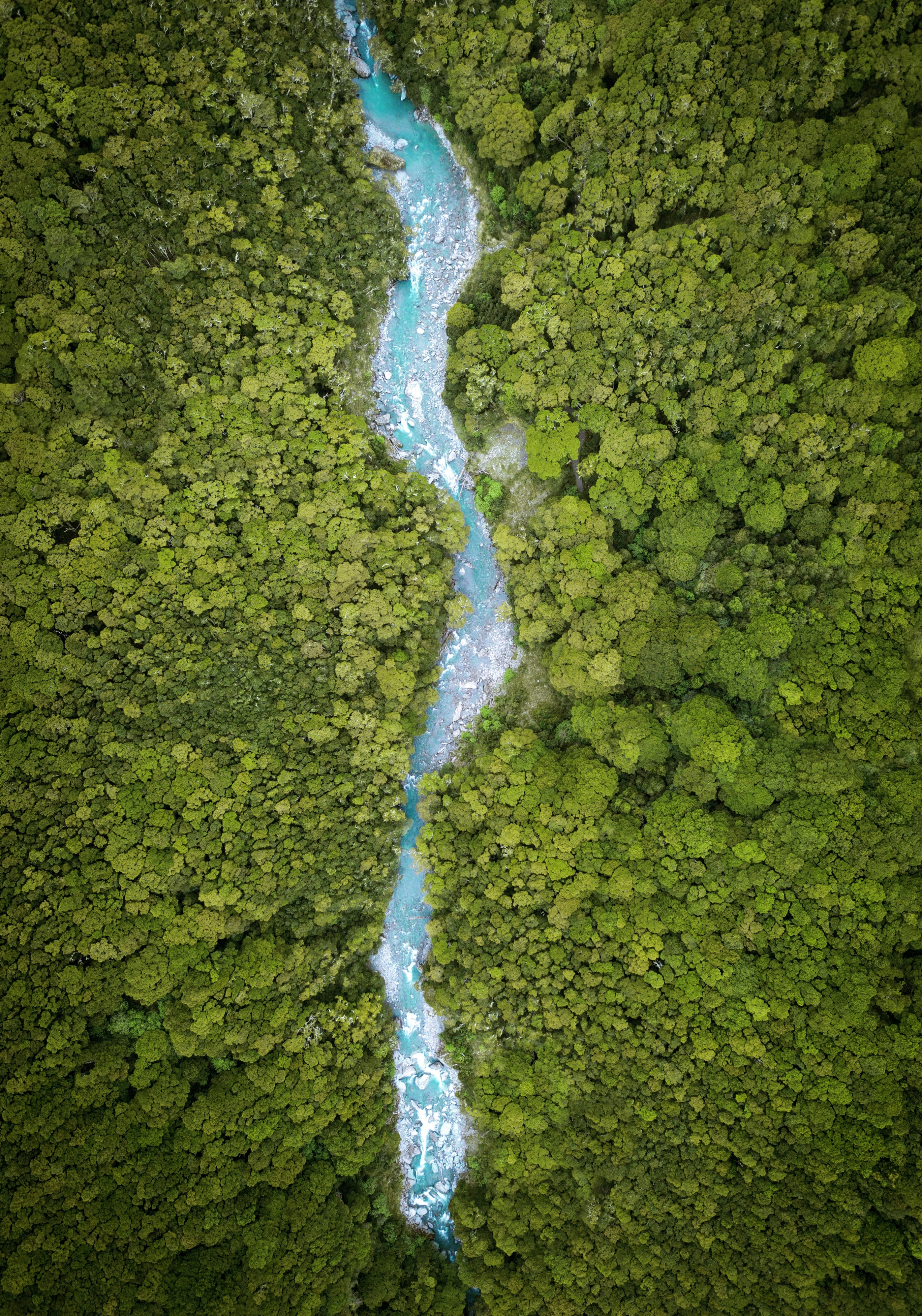 Aerial View of Turquoise River in Dense Forest