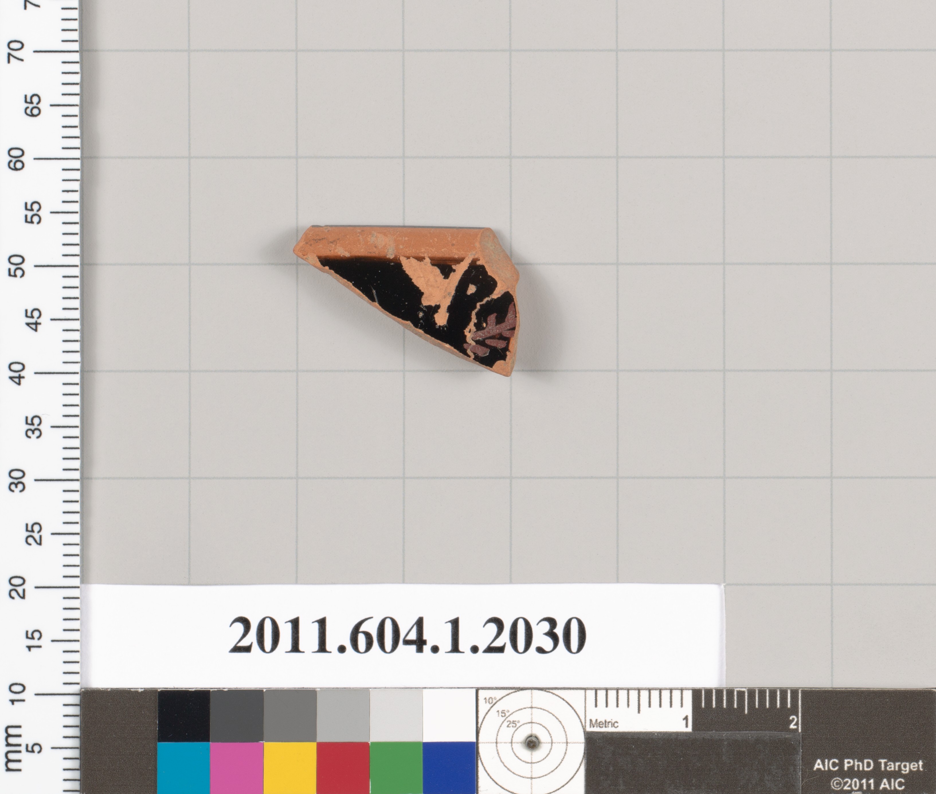 Ancient Pottery Fragment Specimen