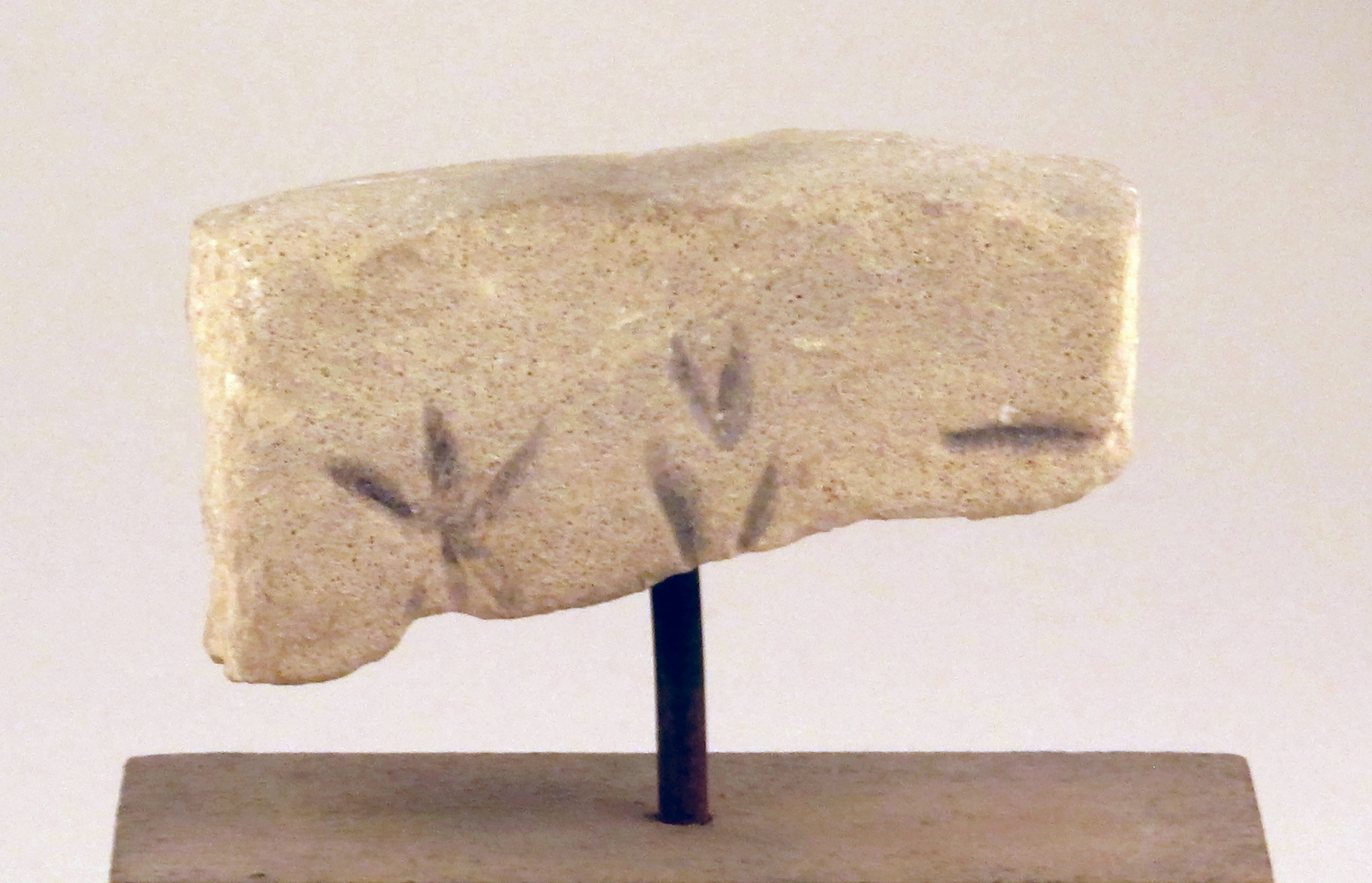 Inscribed Ancient Stone Fragment