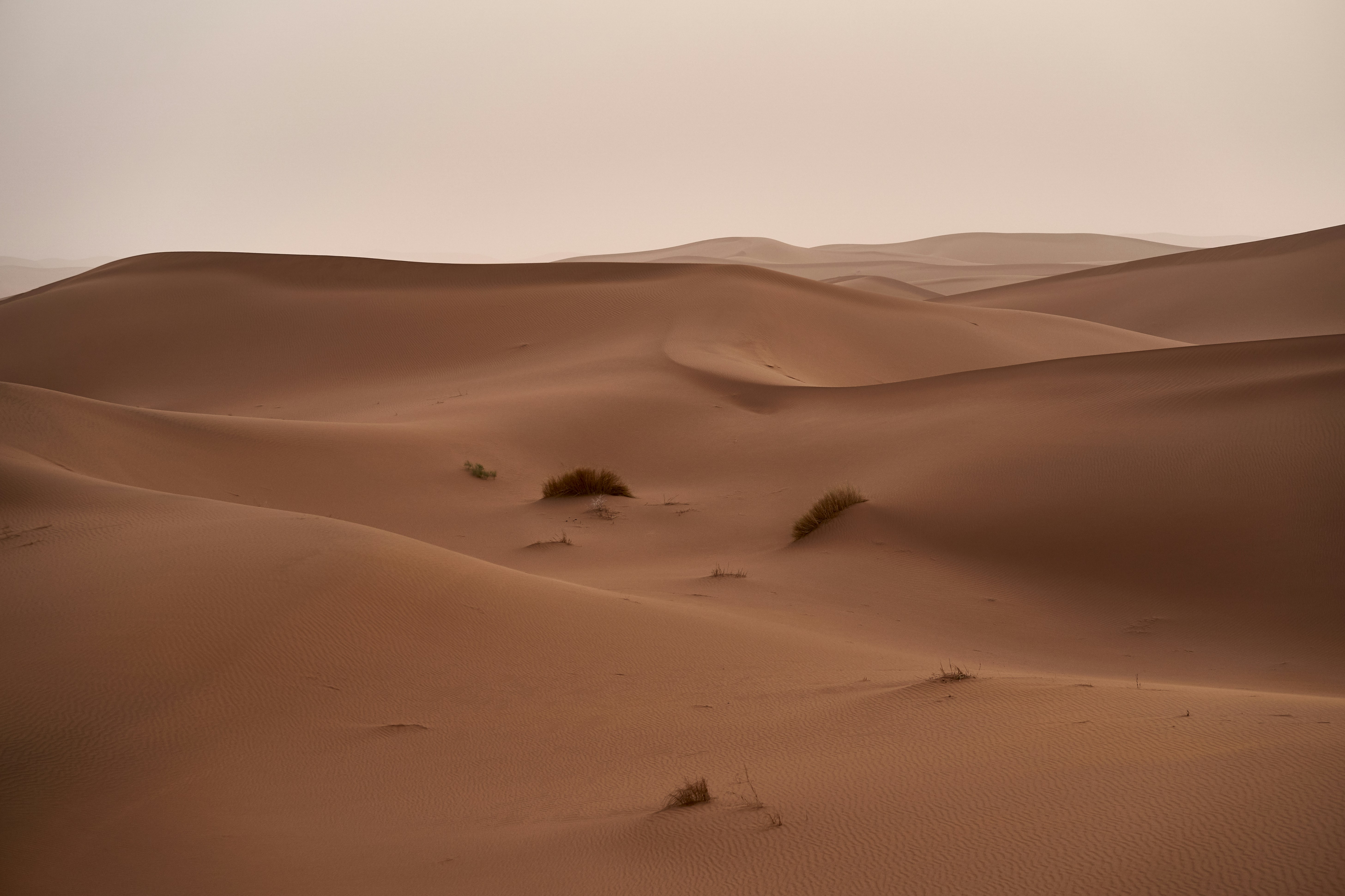 Desert Sand Dune Landscape