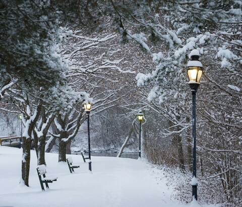 Snowy Park Path with Street Lamps