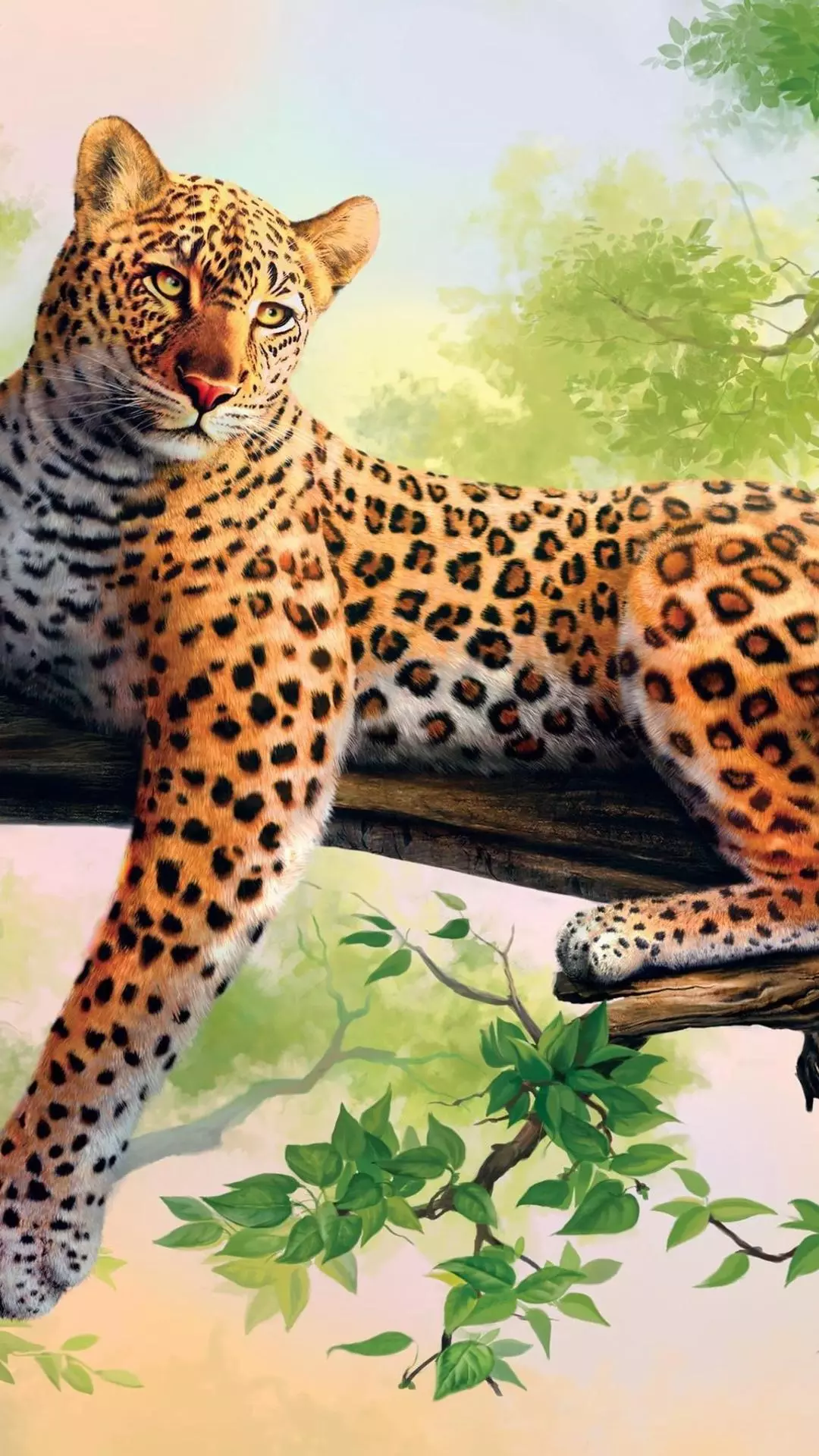 Wallpapers