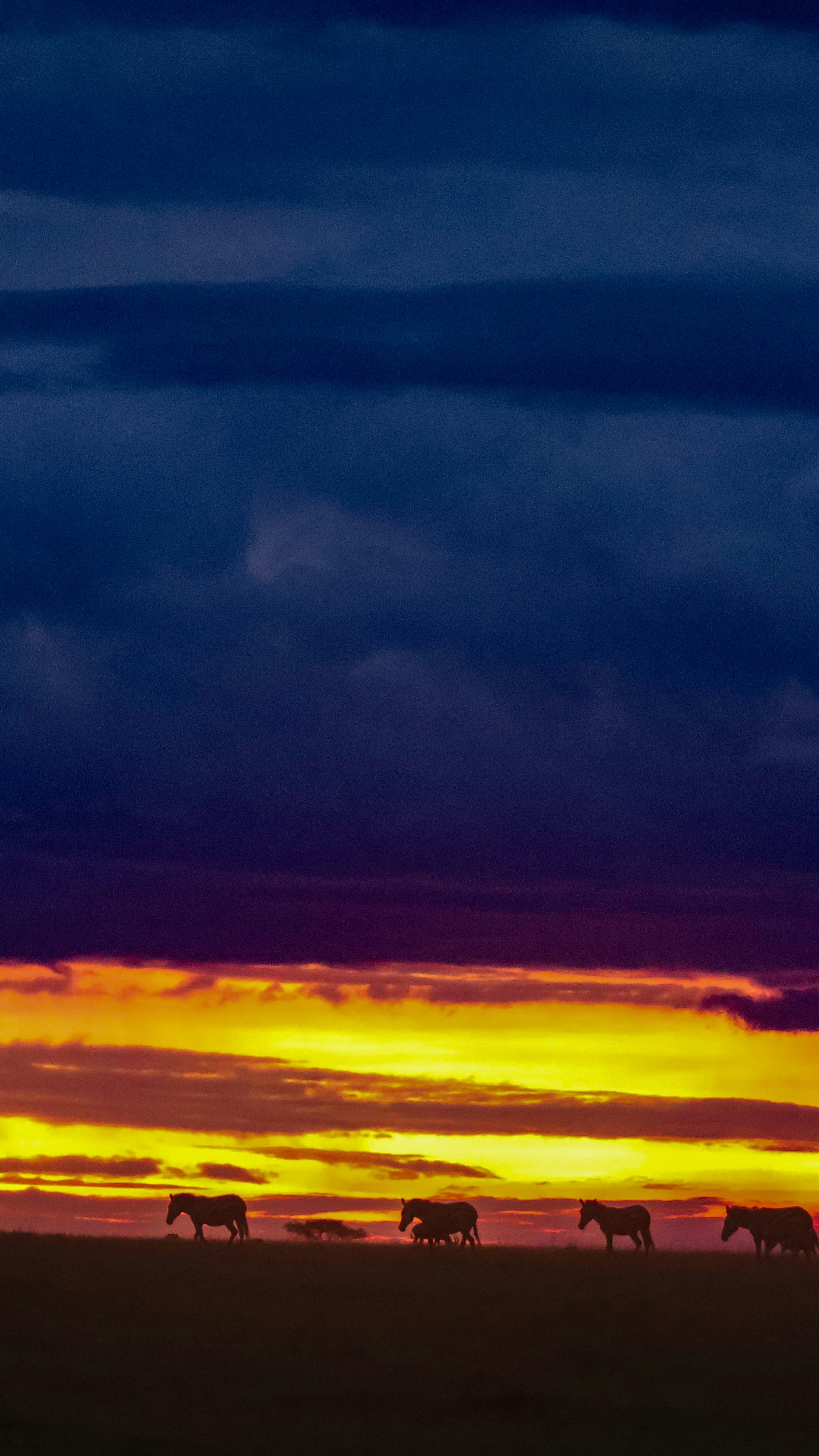 Wallpapers