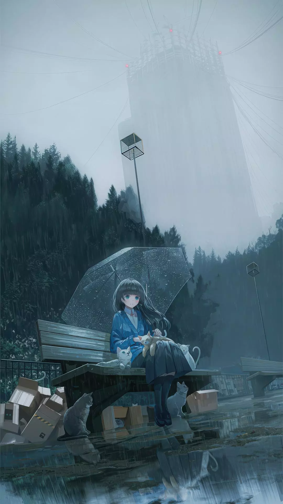 Wallpapers