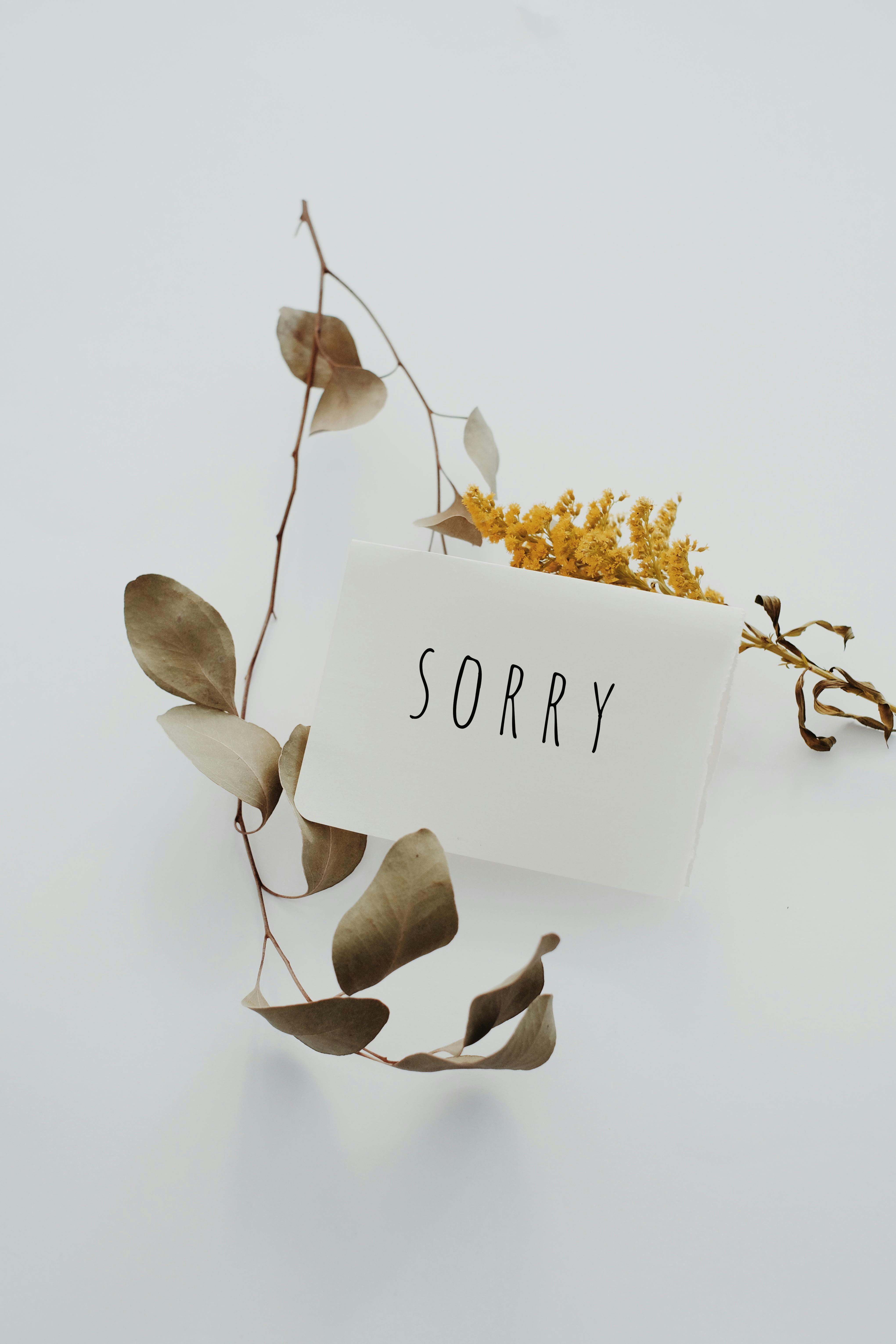 Sorry Greeting Card with Dried Florals