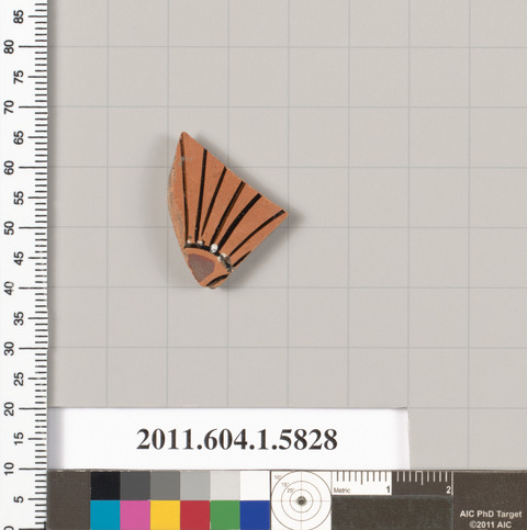 Ancient Pottery Fragment