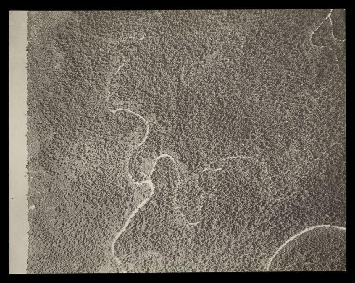 Aerial View of Winding River in Forest