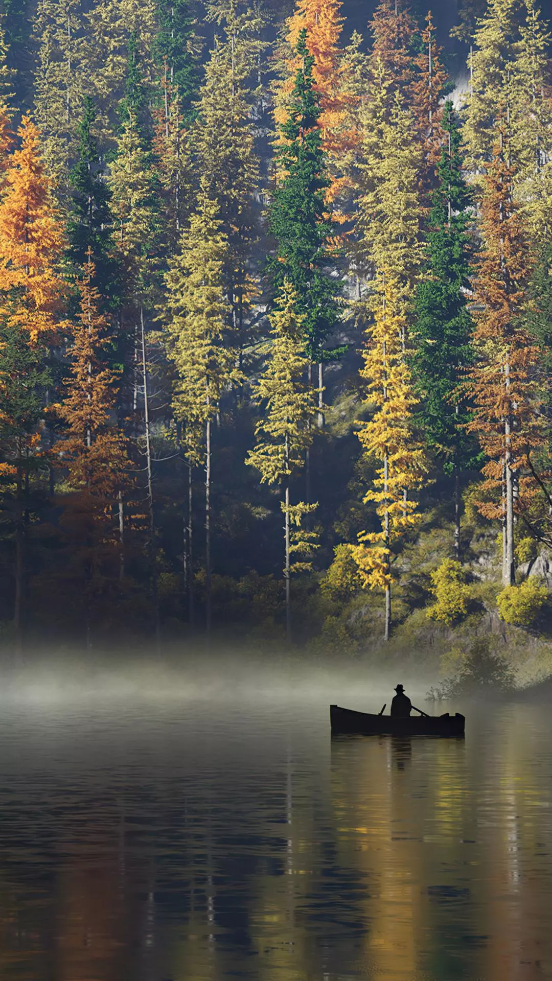 Landscapes