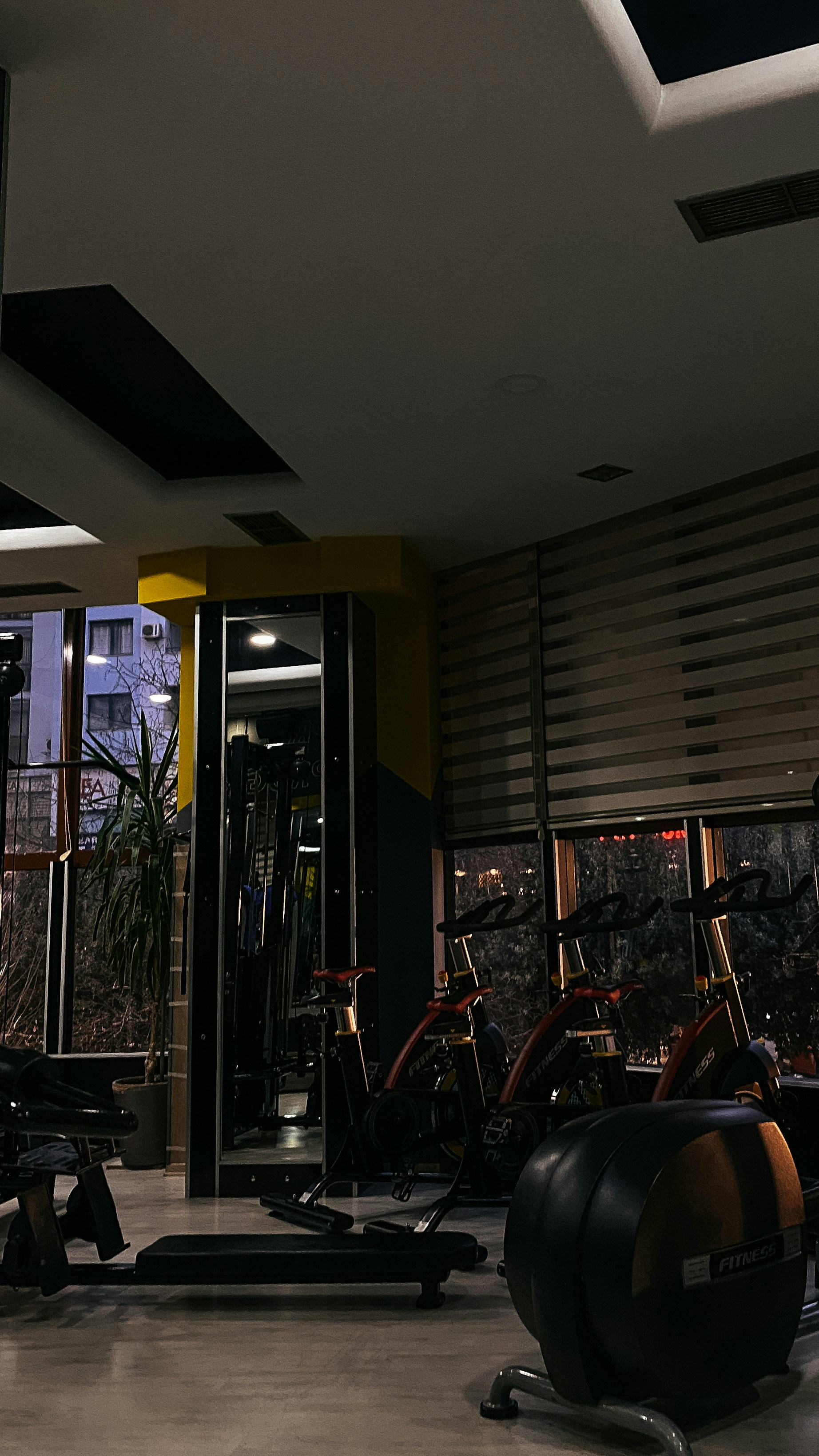 Image 1618202 — Fitness