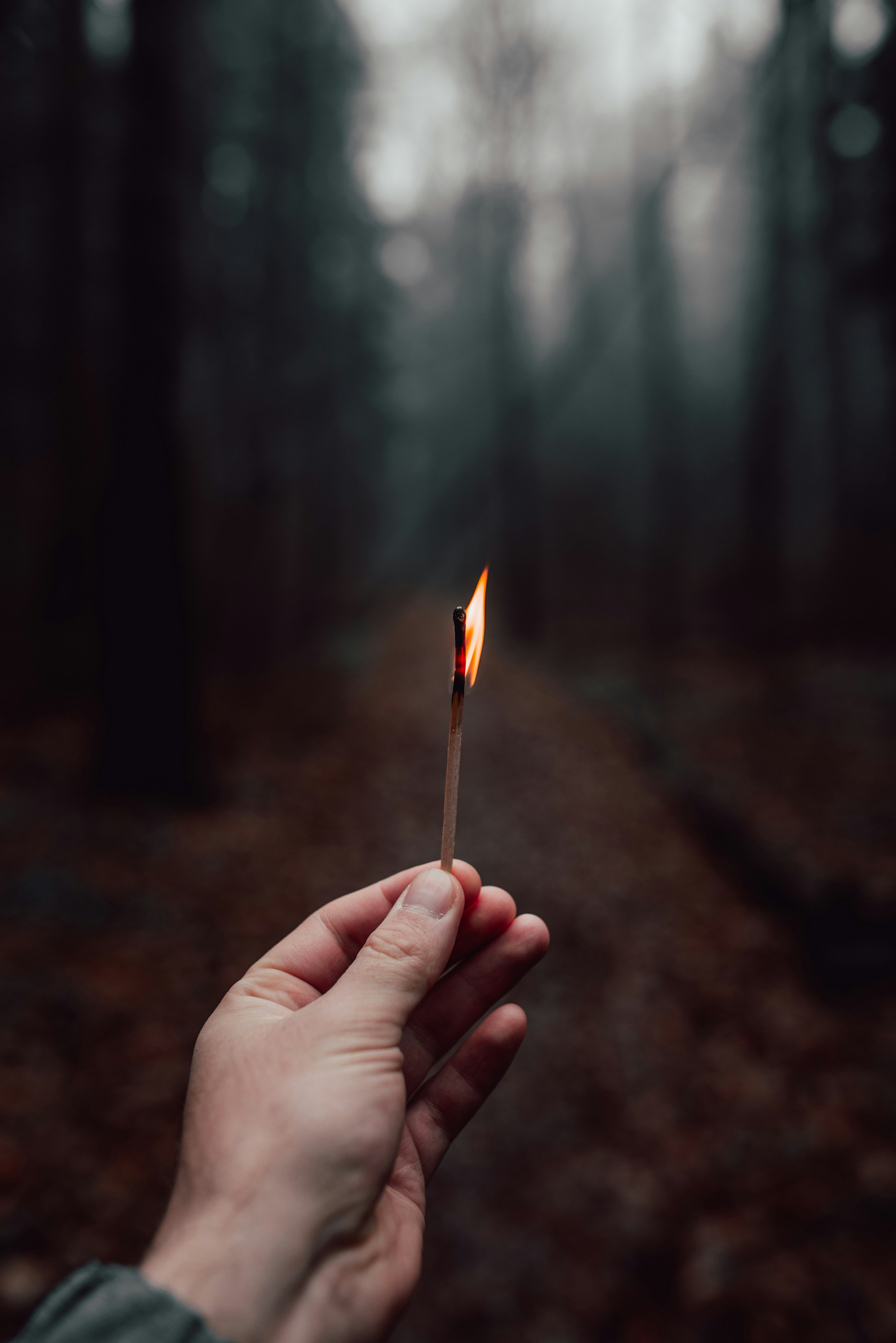 Hand Holding Burning Match In Forest