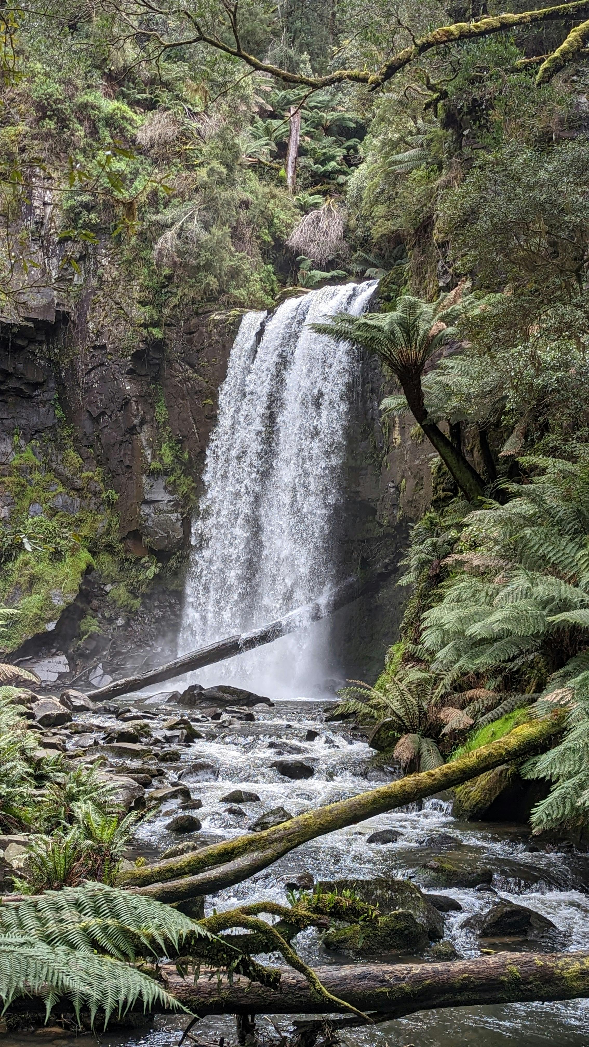 Hidden Forest Waterfall