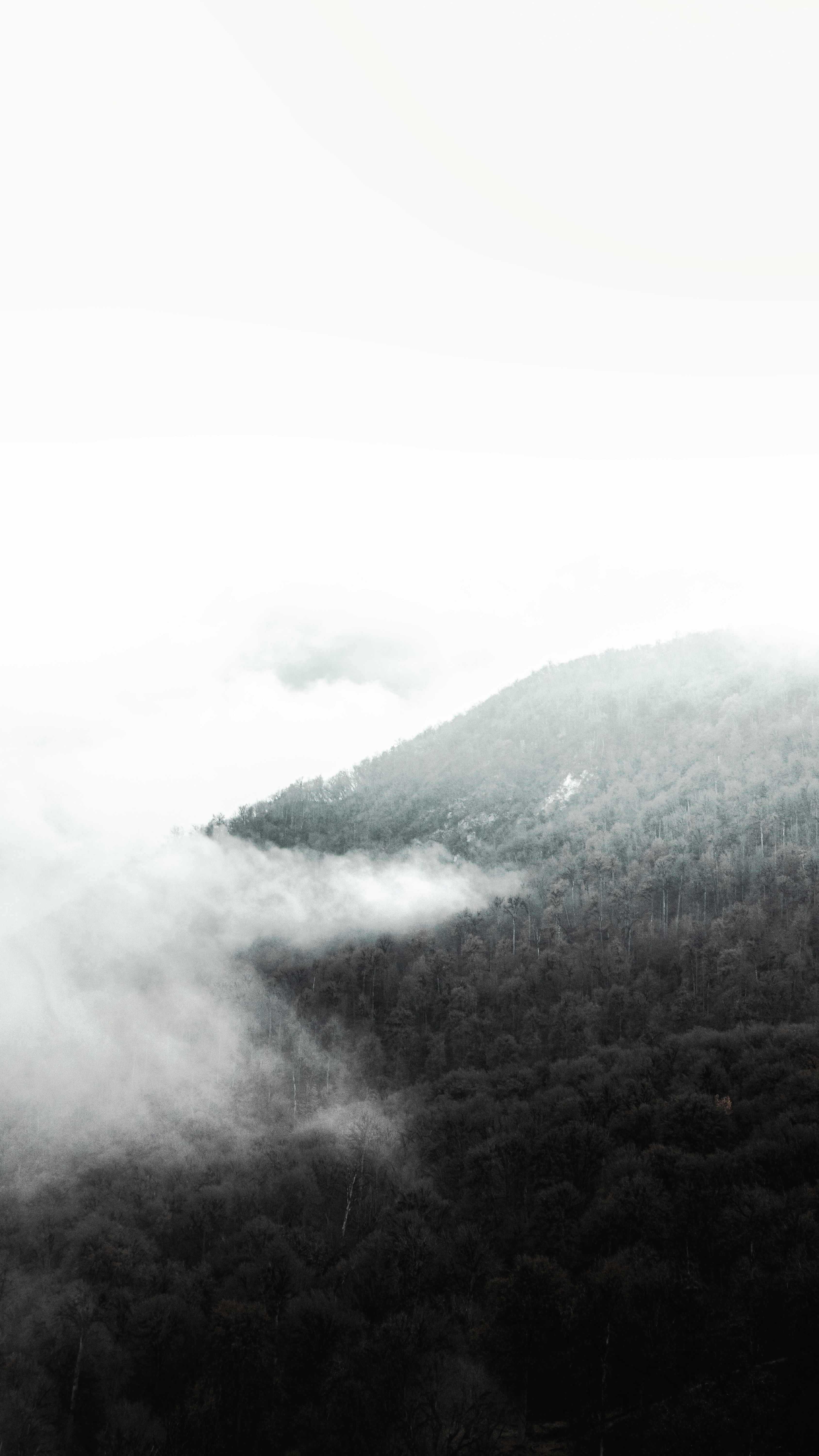 Landscapes