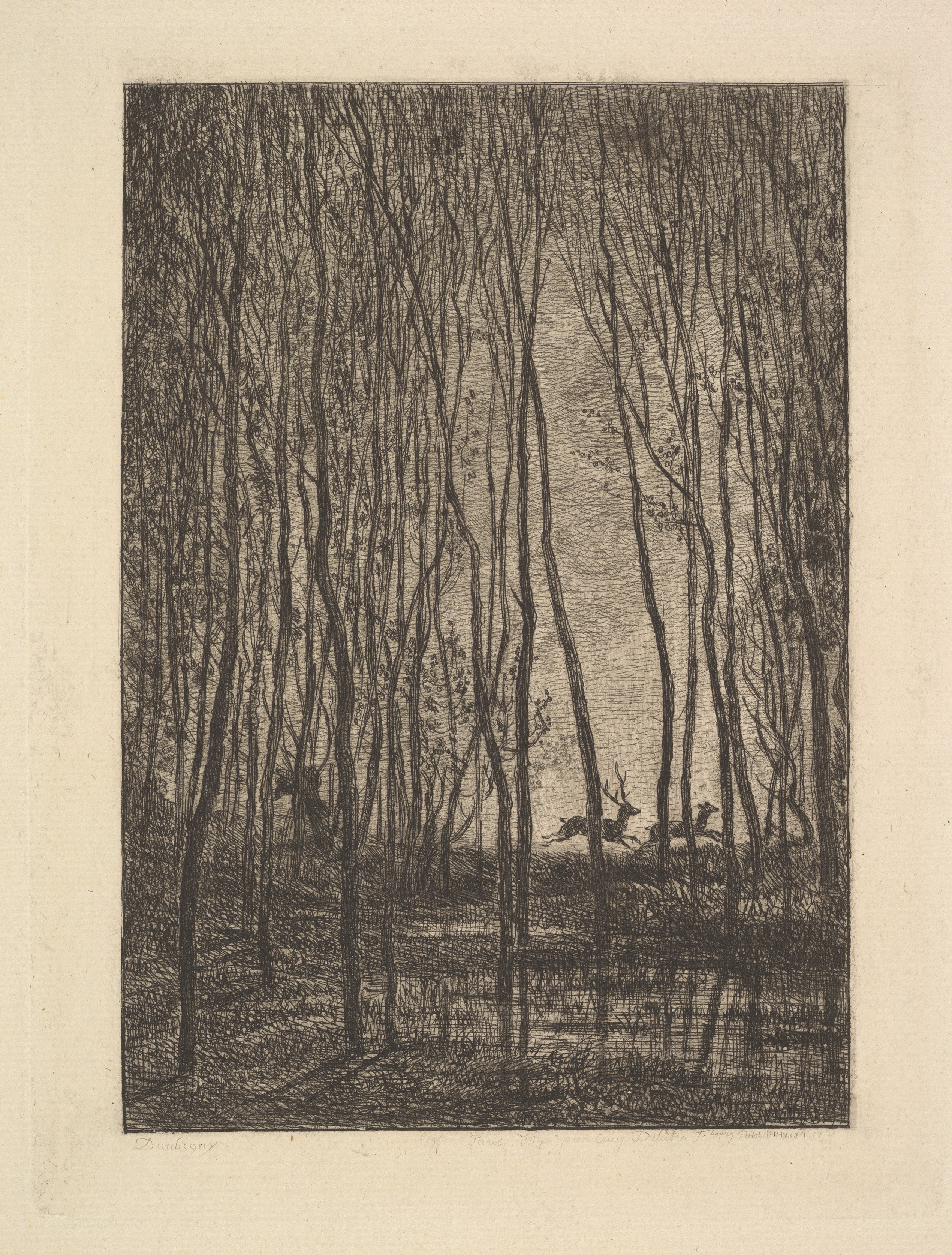 Deer Running Through Forest Etching