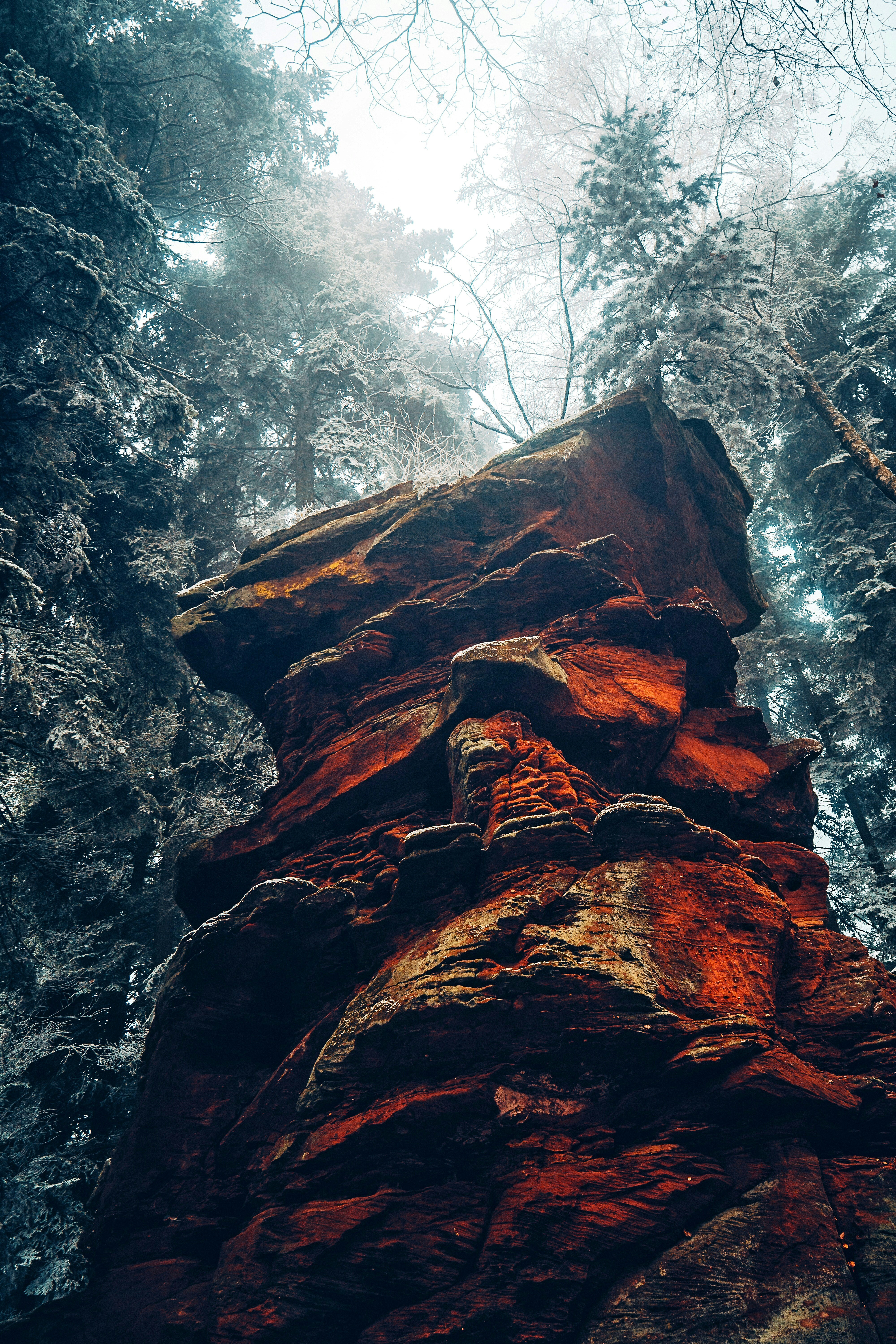 Frosty Forest Red Rock Formation