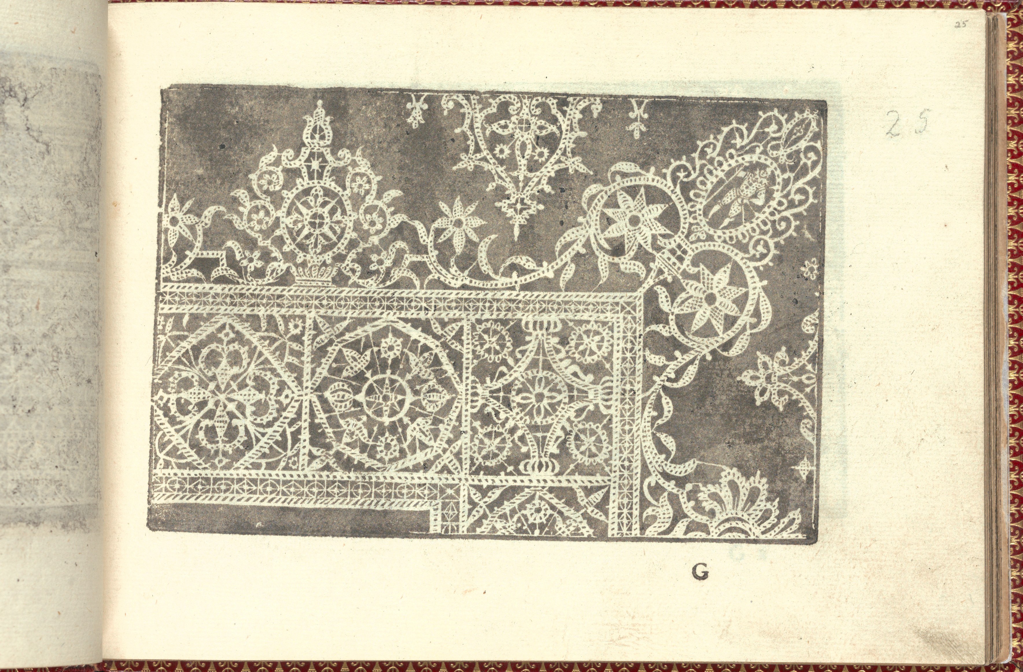 Antique Lace Pattern Print