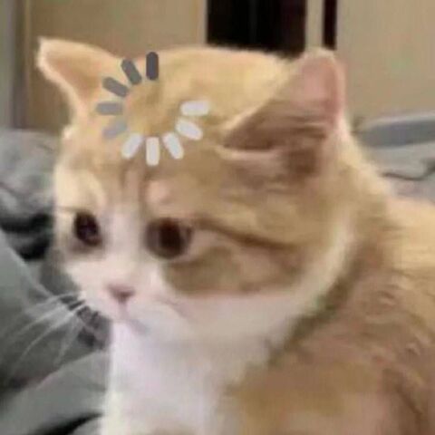 Loading Orange Cat Meme