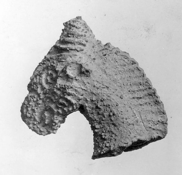 Ancient Pottery Fragment