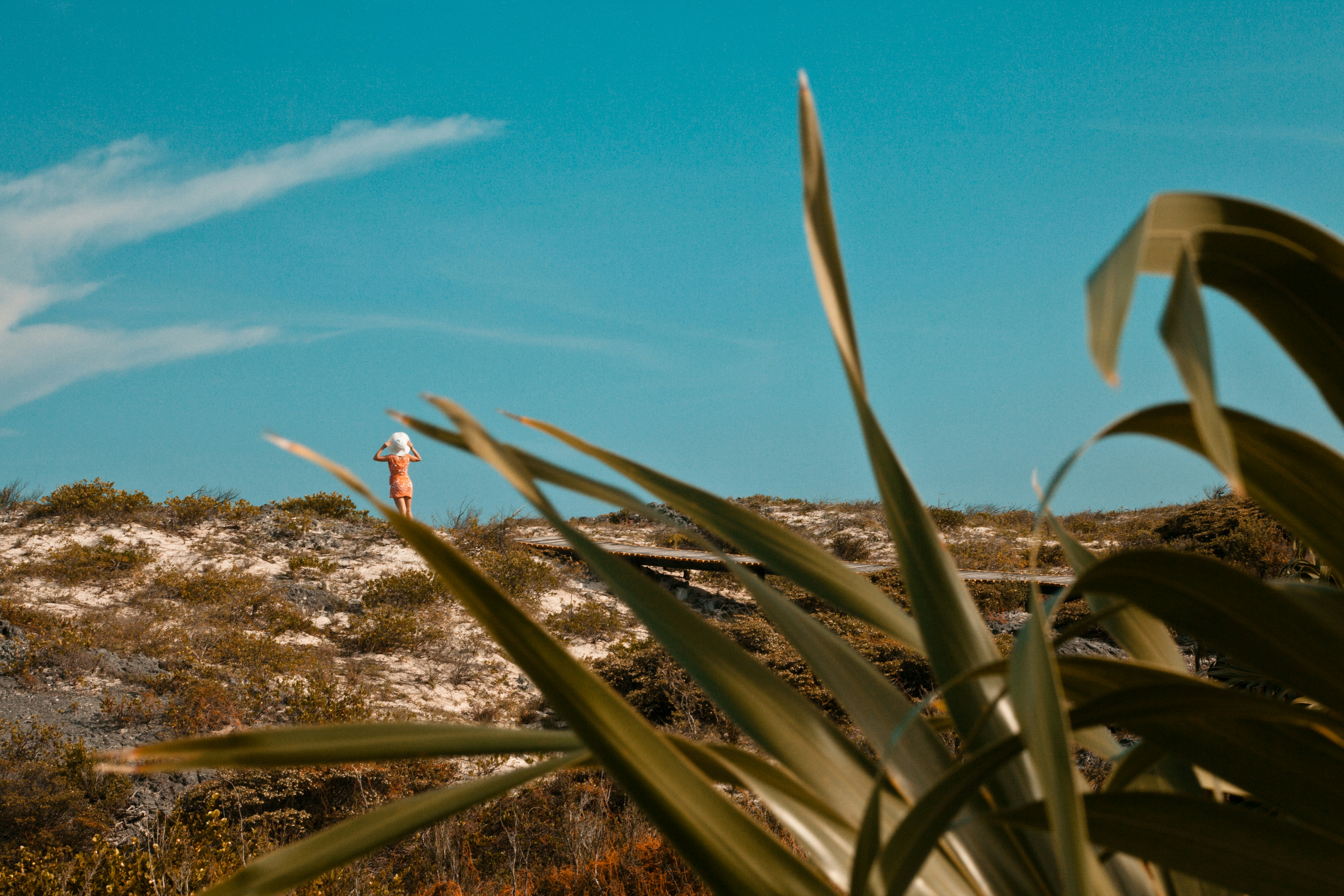 Woman Standing on Coastal Sand Dune