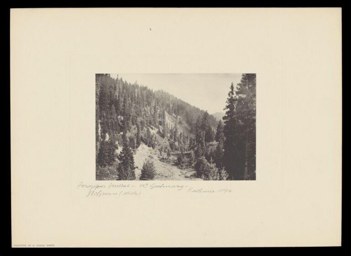 Vintage Forested Mountain Valley Landscape