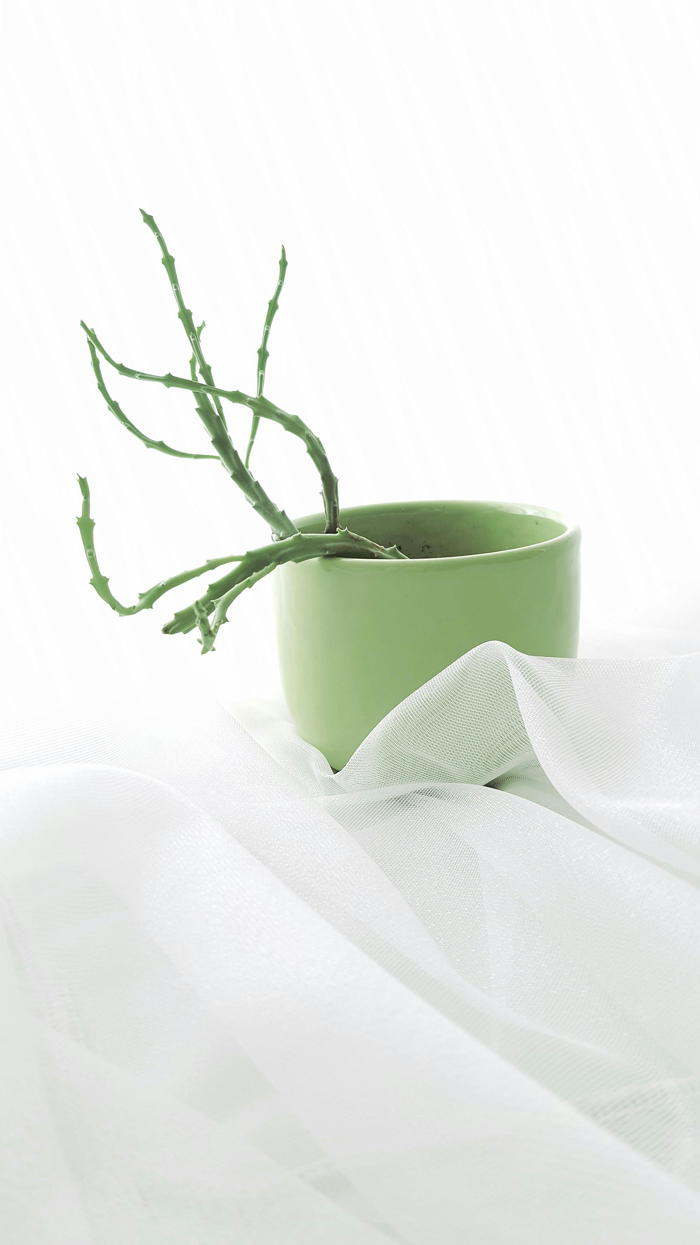 Home Decoration